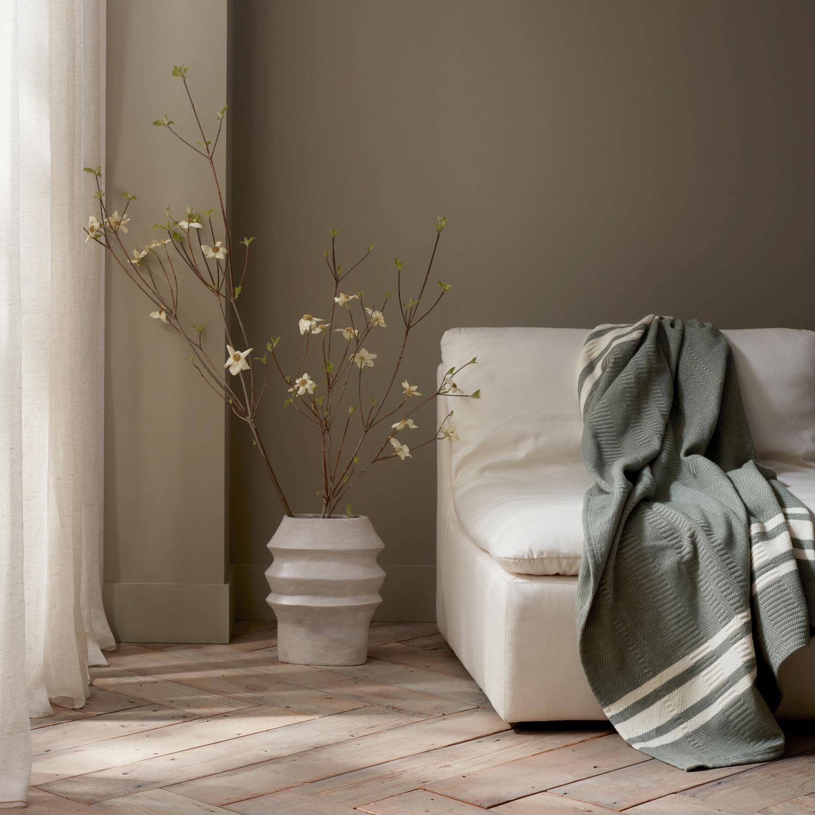 Cirrus Supersoft Organic Cotton Throw 3 Cirrus Supersoft Organic Cotton Throw