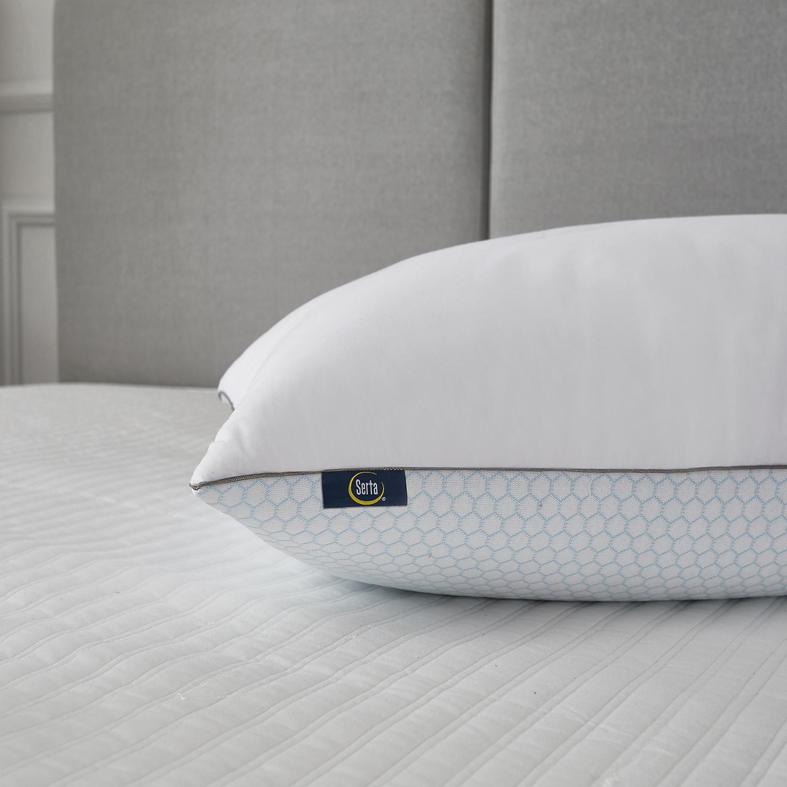 Summer and Winter Goose Feather Bed Pillow, Set of 2 4 Summer and Winter Goose Feather Bed Pillow, Set of 2