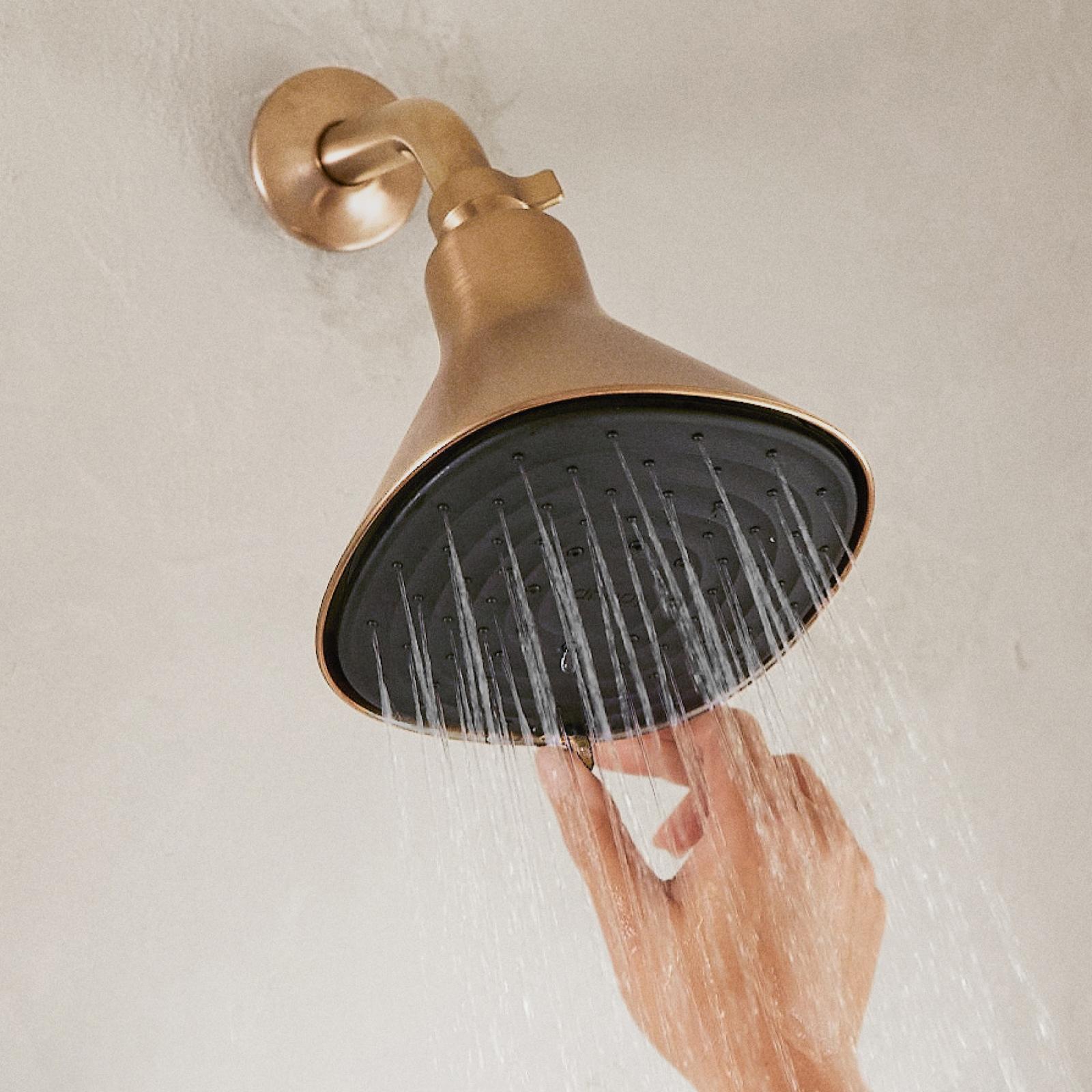 Filtered Showerhead 17 Filtered Showerhead