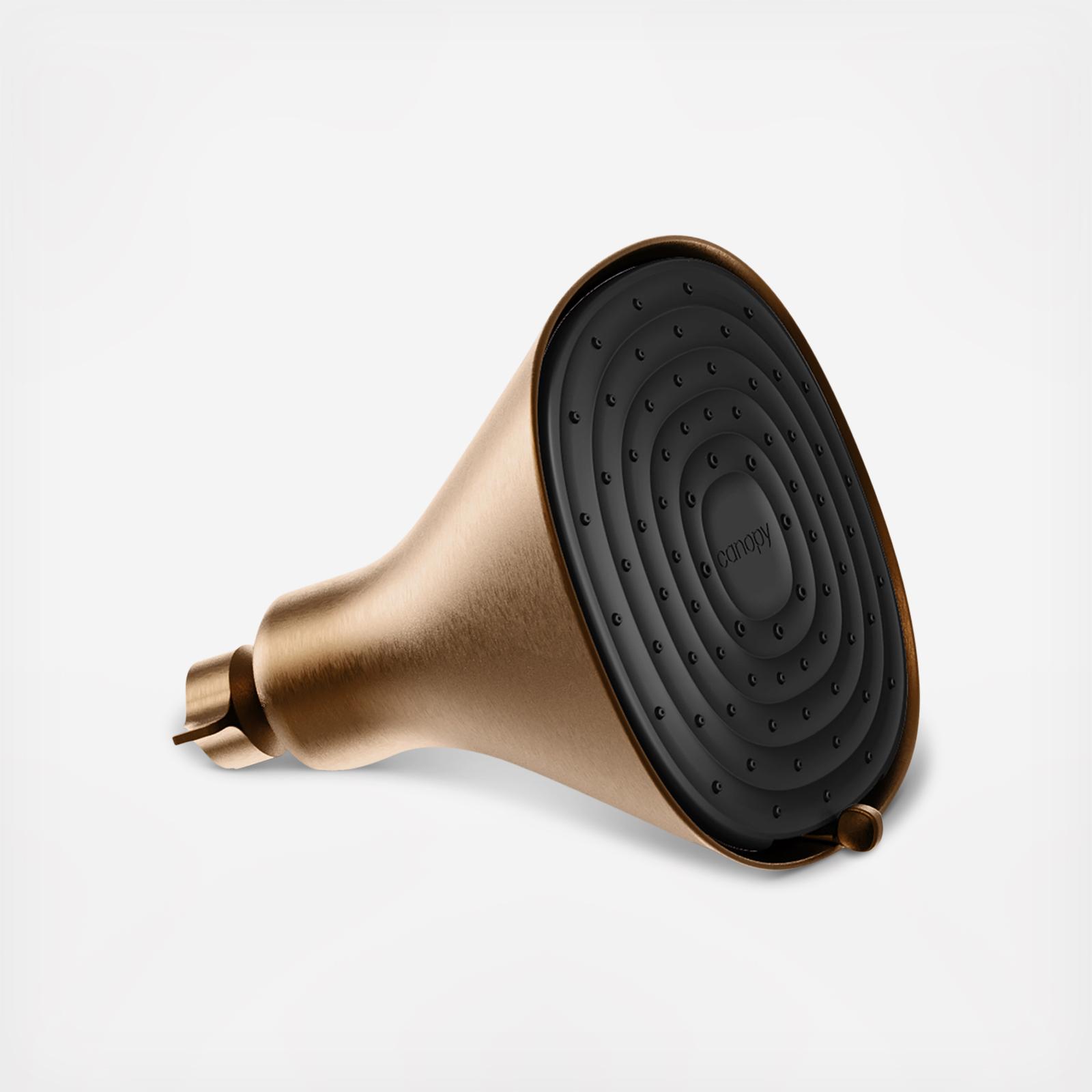 Filtered Showerhead
