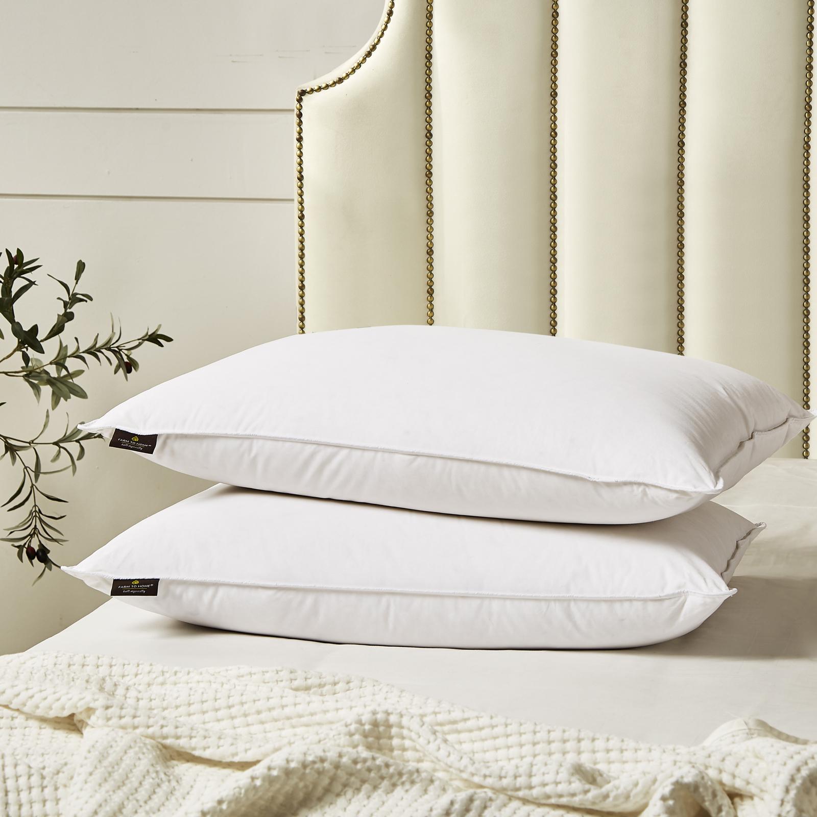Organic Feather and Down Pillow, Set of 2 1 Organic Feather and Down Pillow, Set of 2