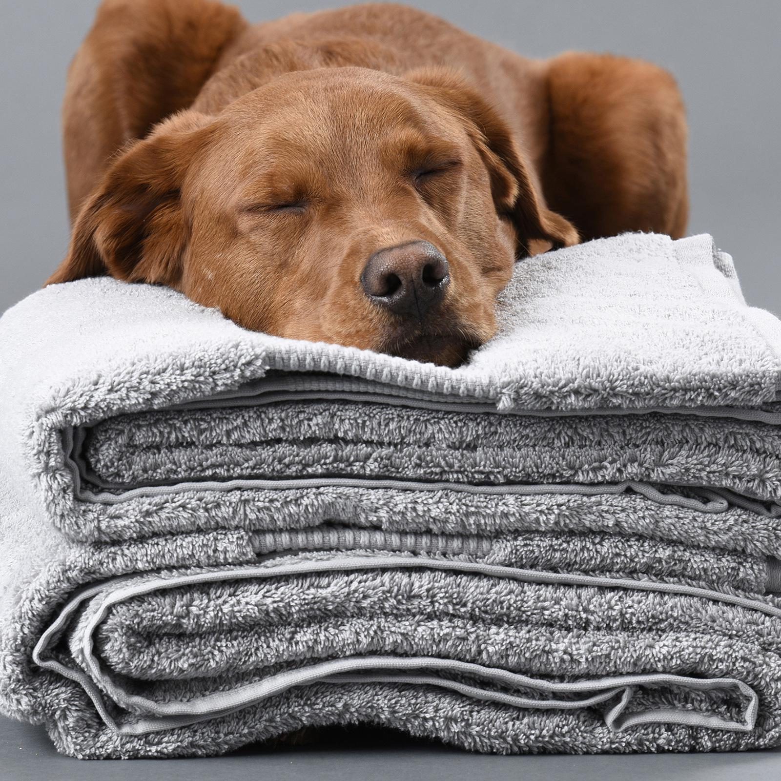 Organic Cotton 6-Piece Towel Set 3 Organic Cotton 6-Piece Towel Set