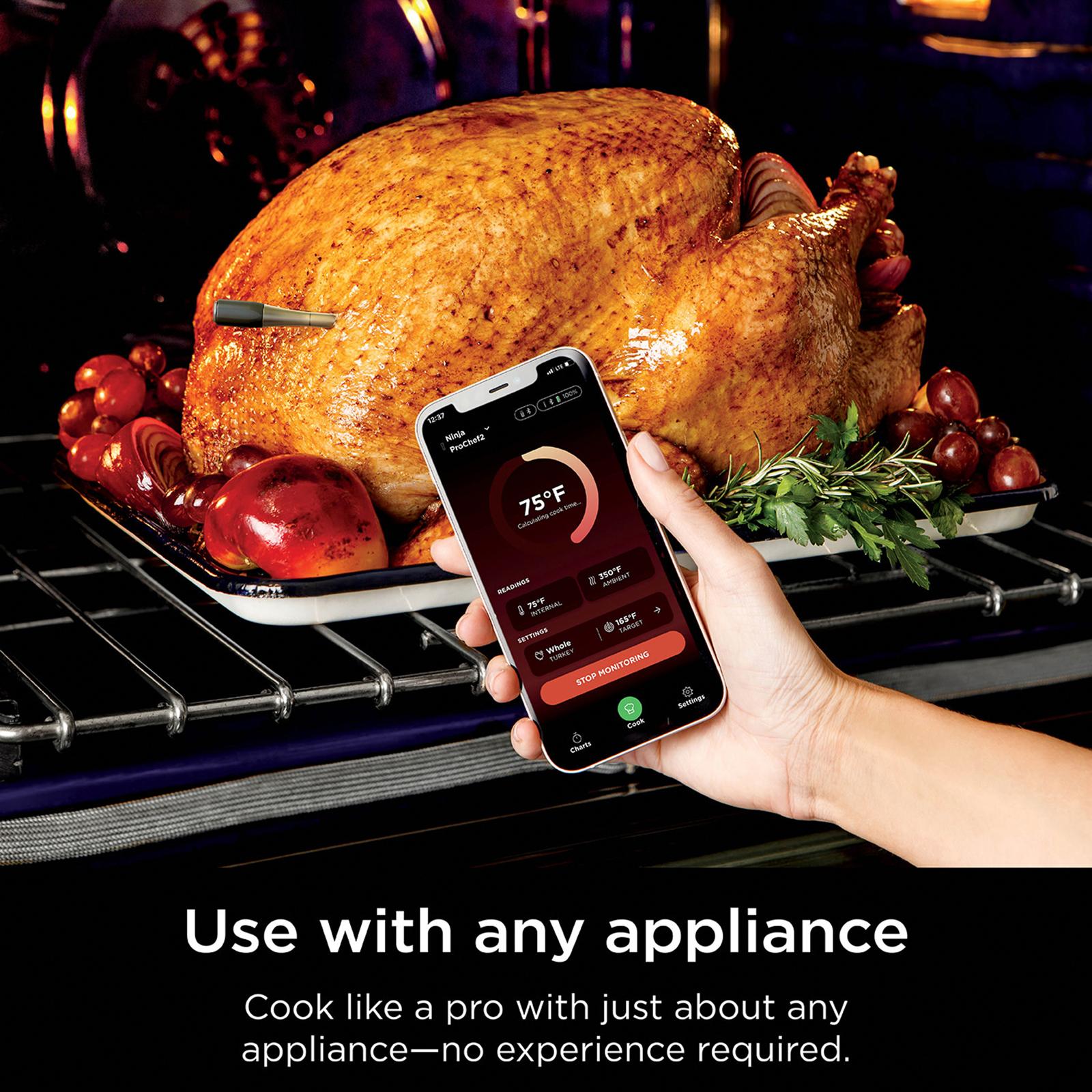 ProChef Wireless Thermometer 2 ProChef Wireless Thermometer