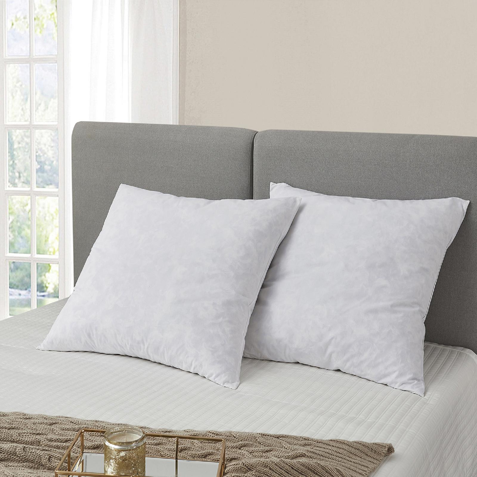 Feather Euro Square Pillow, Set of 2 1 Feather Euro Square Pillow, Set of 2