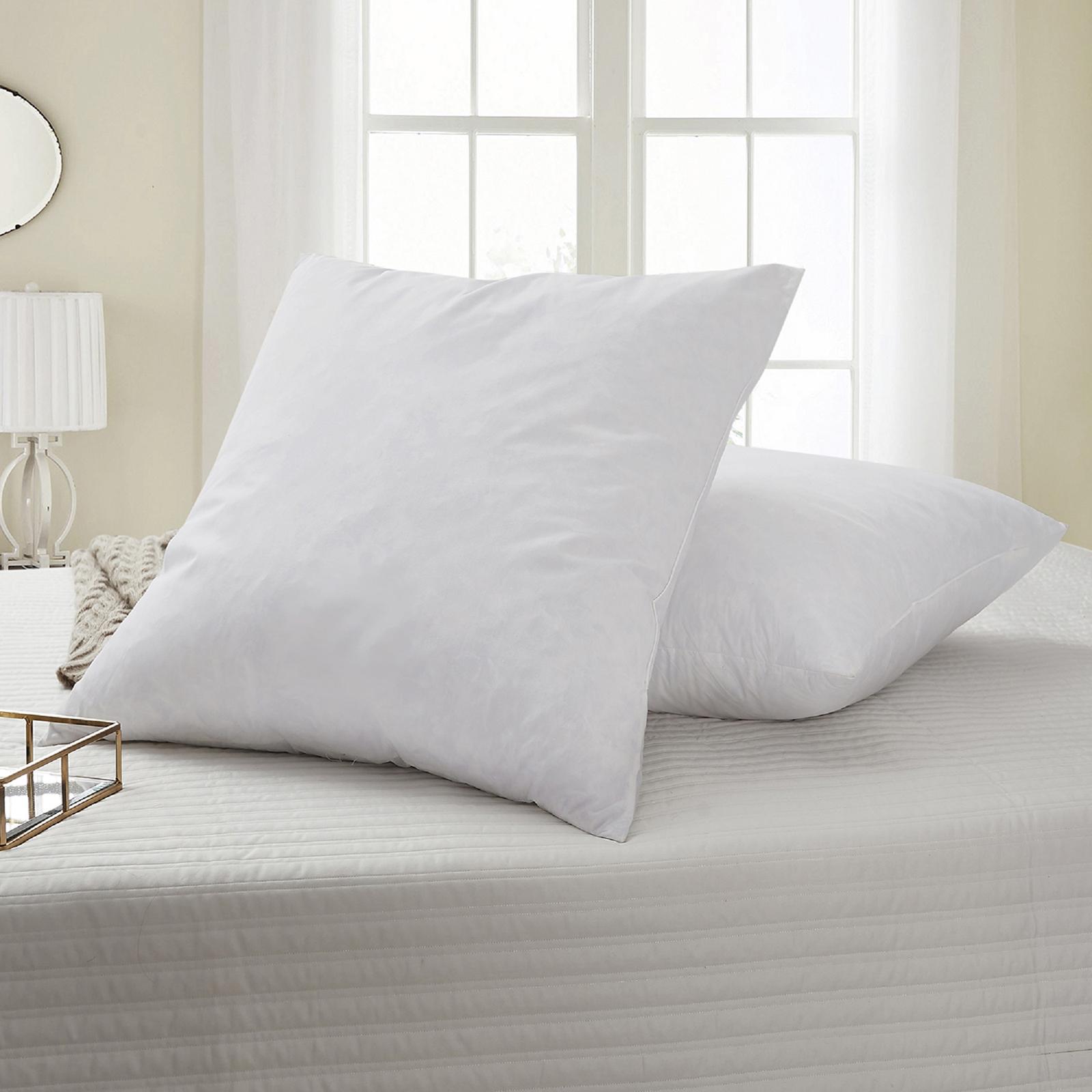Feather Euro Square Pillow, Set of 2 2 Feather Euro Square Pillow, Set of 2