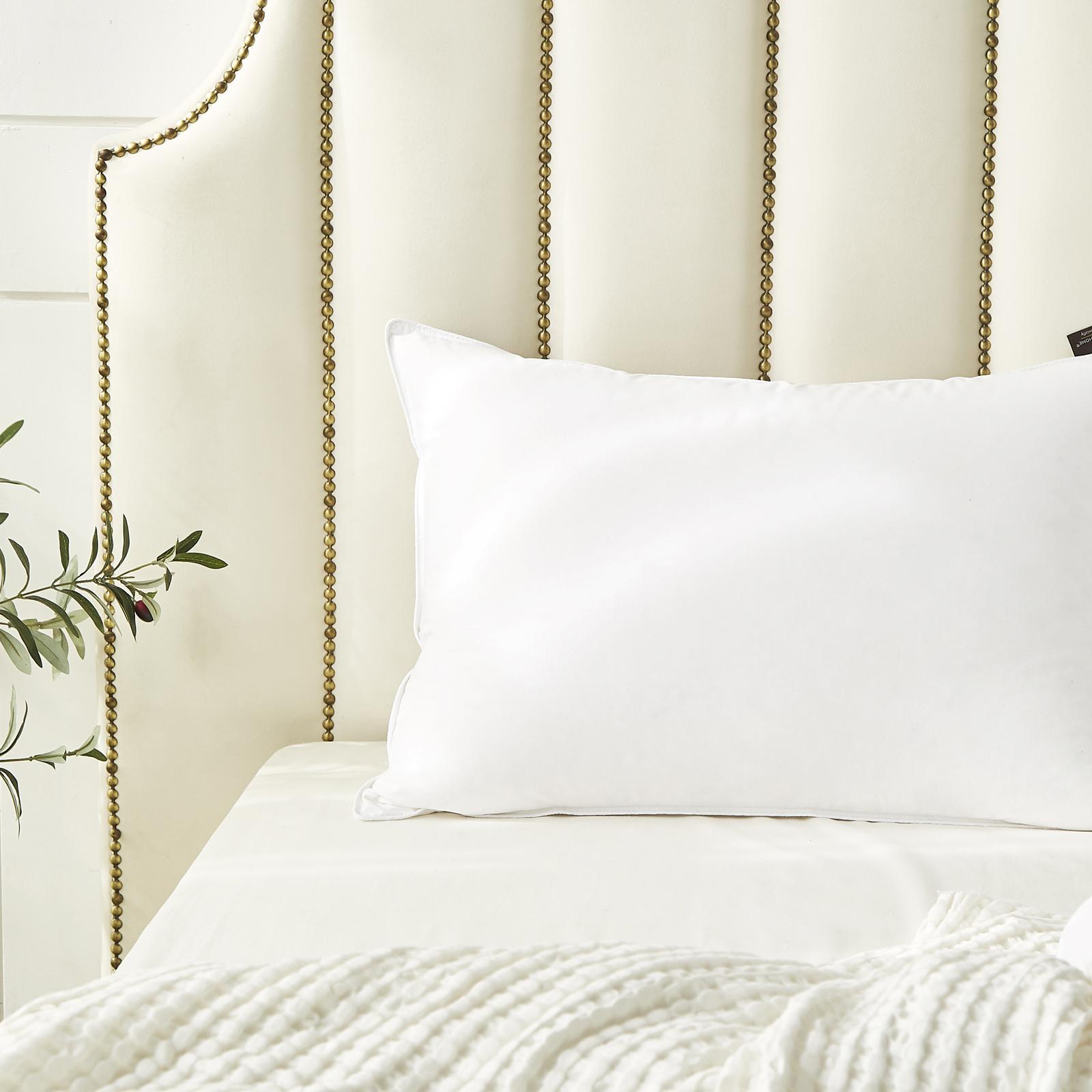 Organic Down Pillow 2 Organic Down Pillow
