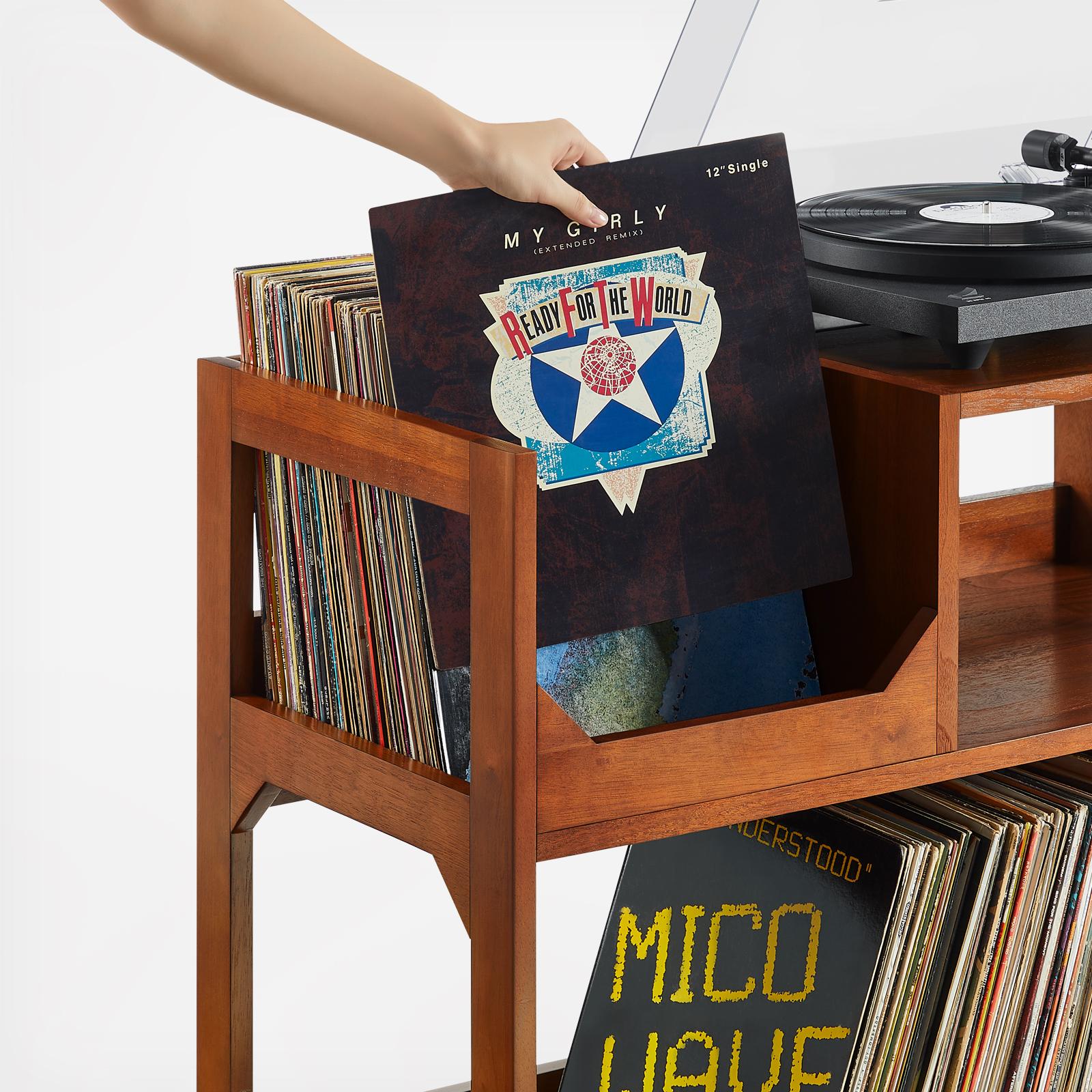 Asheville Medium Record Storage Console 3 Asheville Medium Record Storage Console