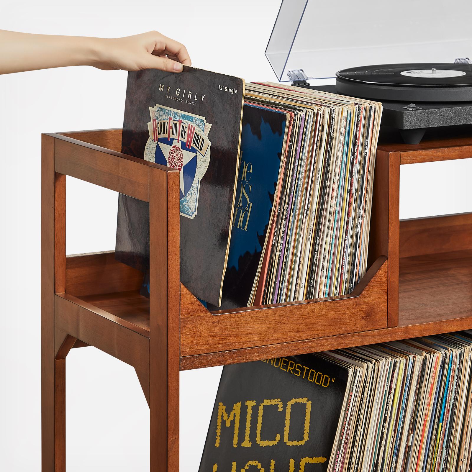 Asheville Medium Record Storage Console 5 Asheville Medium Record Storage Console