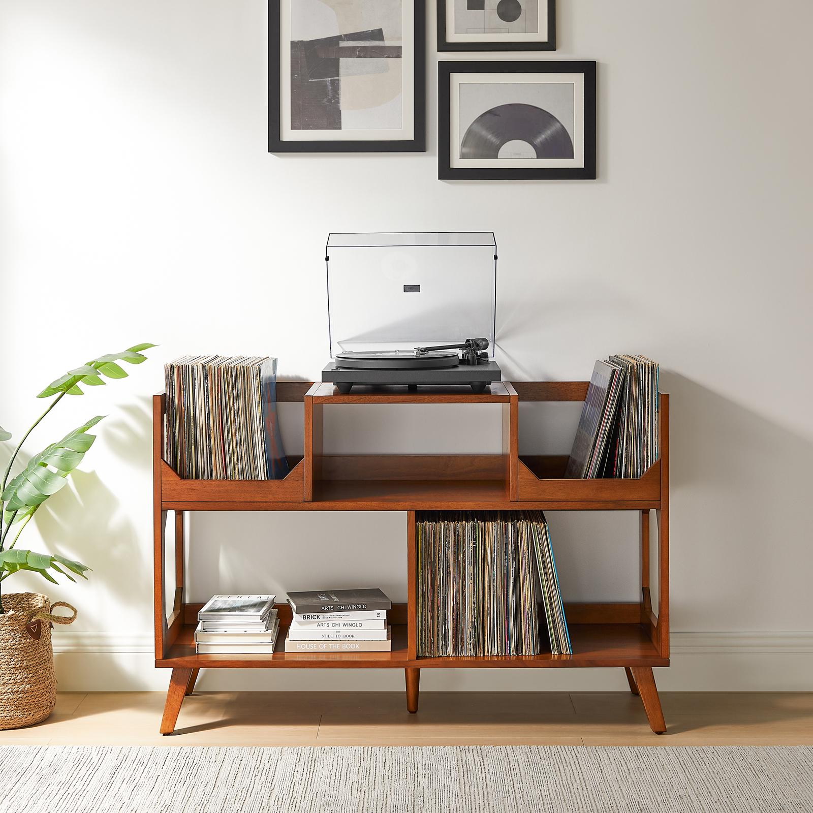 Asheville Large Record Storage Console 13 Asheville Large Record Storage Console