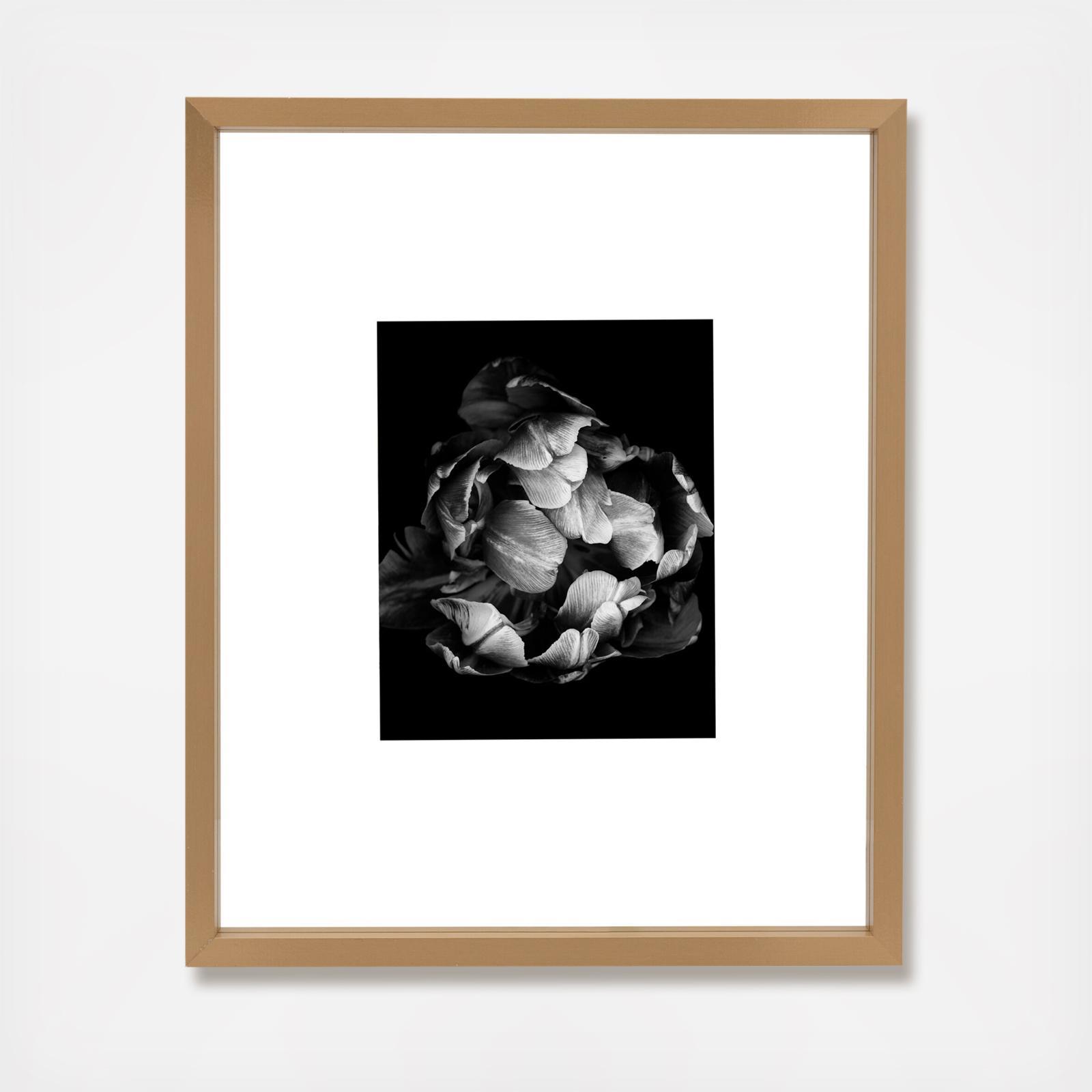 Floating Portrait Frame, Set of 2 2 Floating Portrait Frame, Set of 2