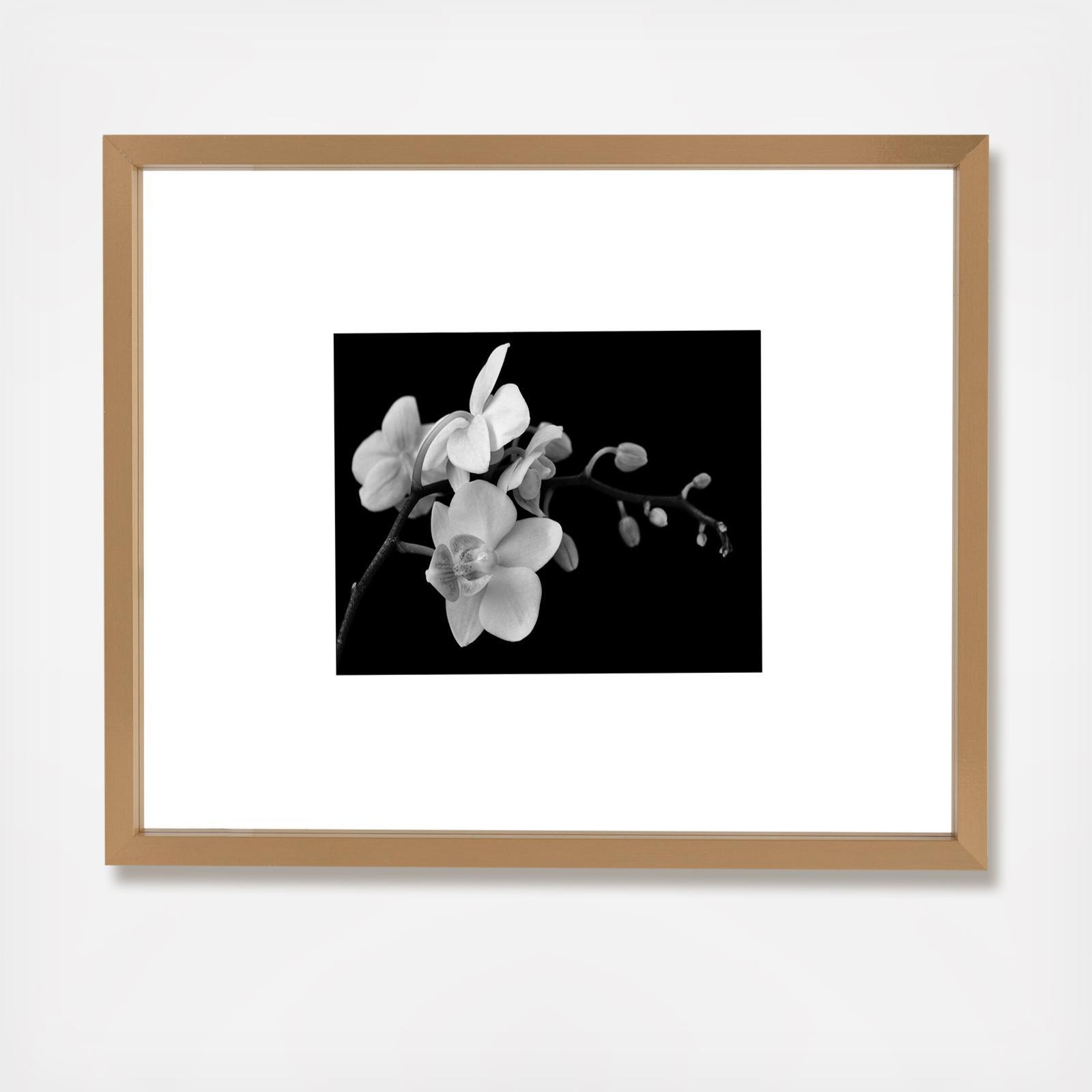 Floating Portrait Frame, Set of 2 3 Floating Portrait Frame, Set of 2