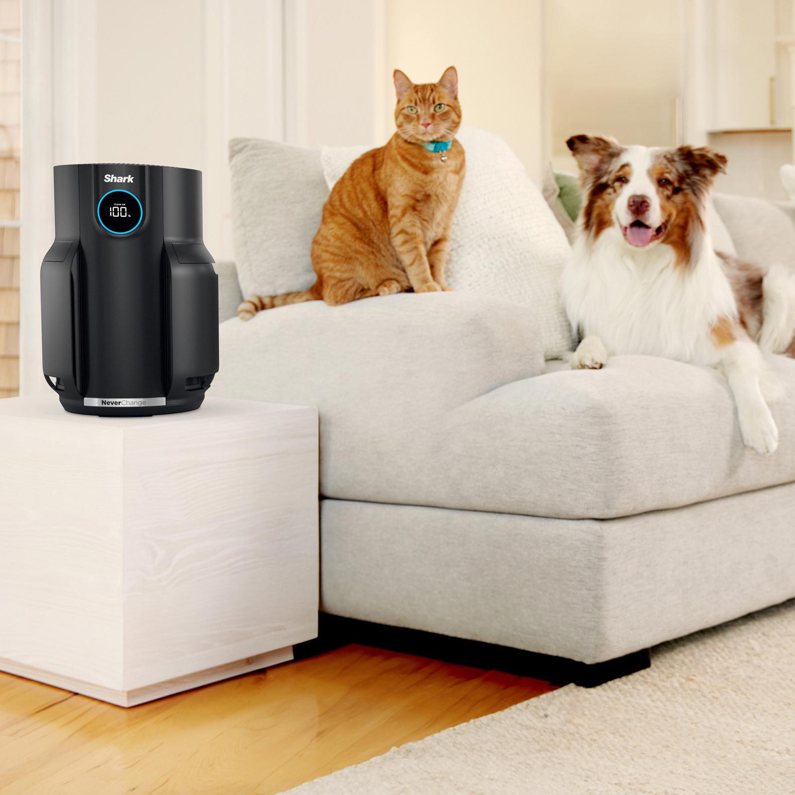 Never Change Air Purifier 4 Never Change Air Purifier