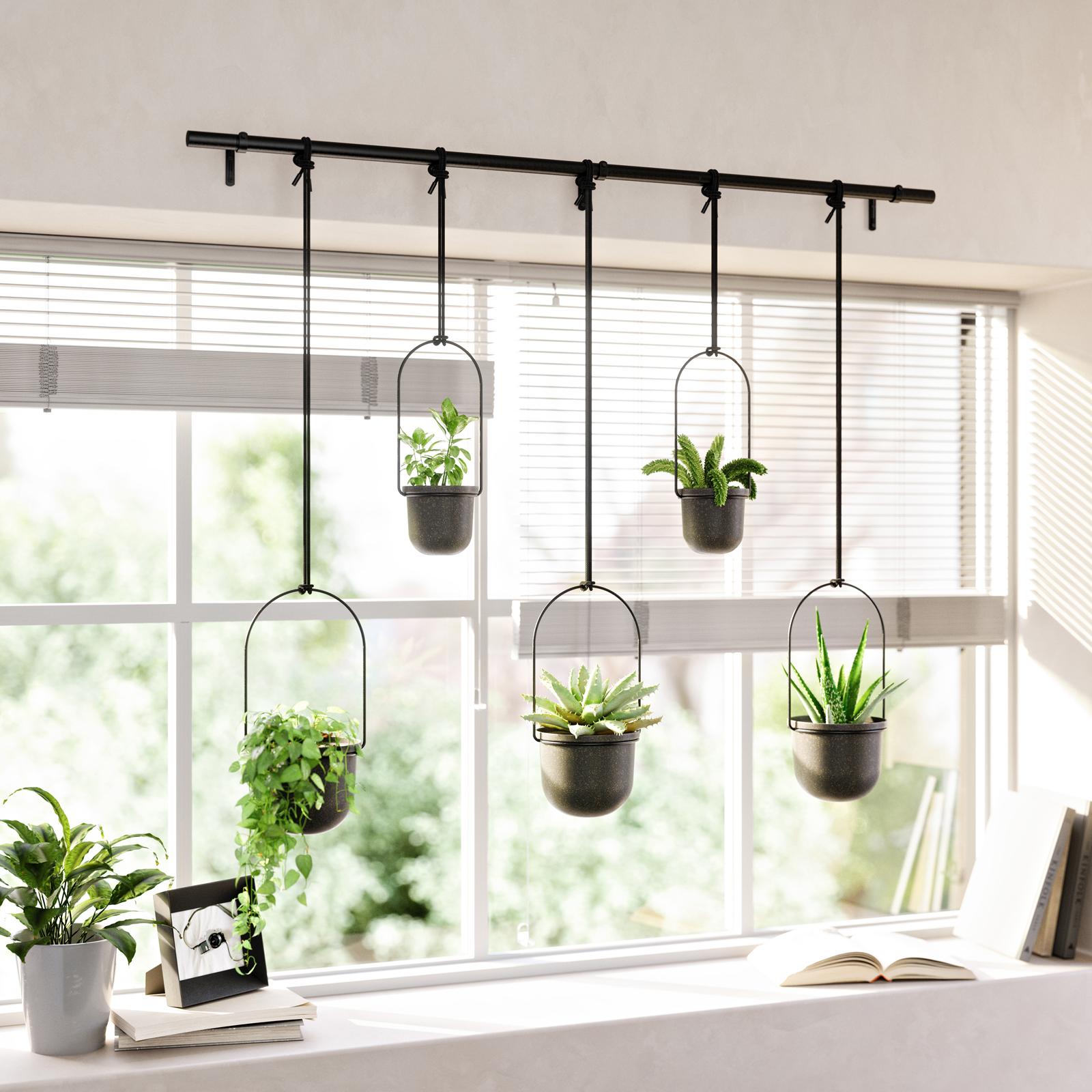 Triflora Hanging Planter, Set of 5 12 Triflora Hanging Planter, Set of 5
