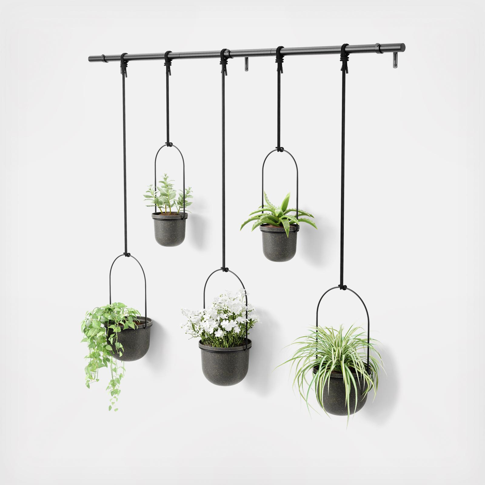 Triflora Hanging Planter, Set of 5 2 Triflora Hanging Planter, Set of 5