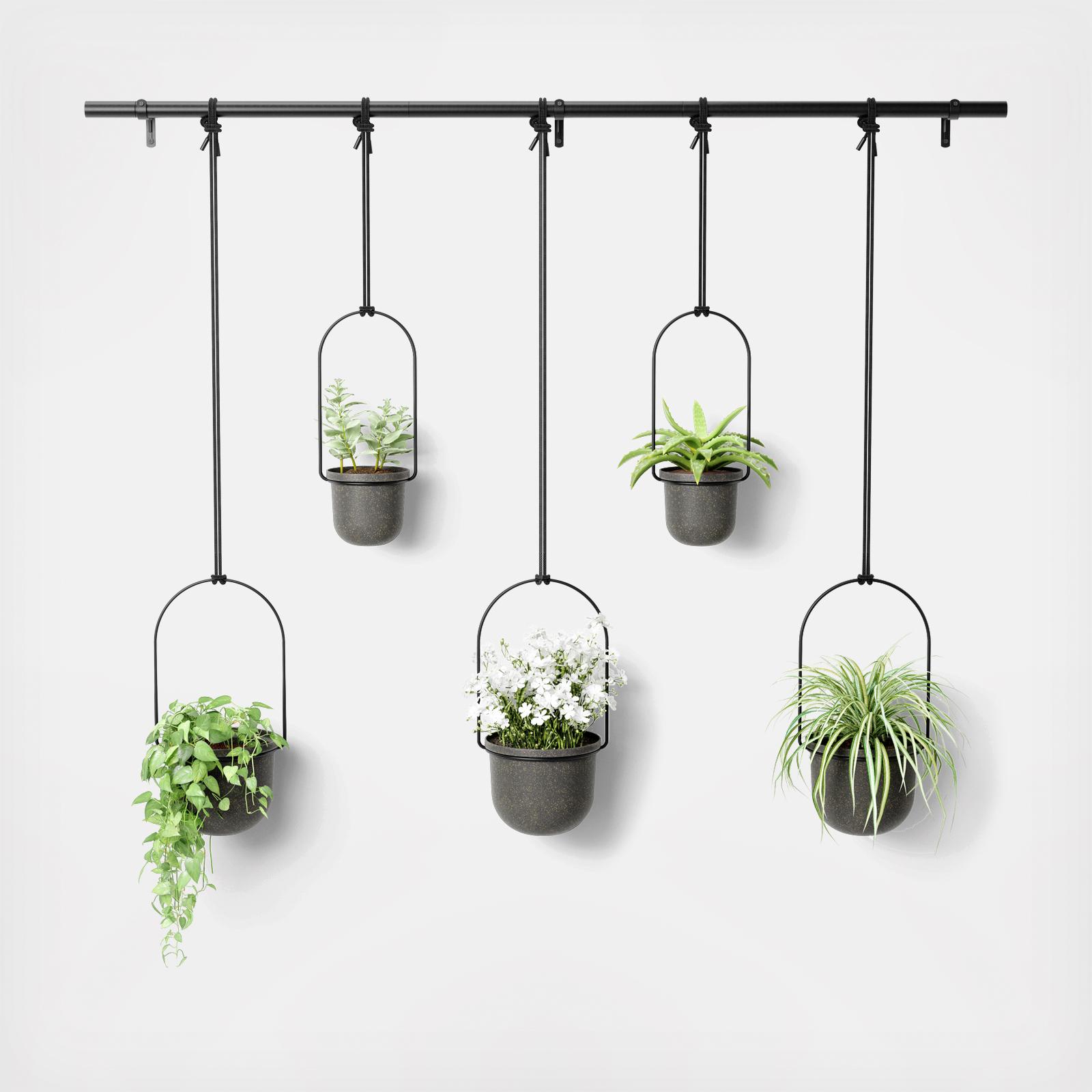 Triflora Hanging Planter, Set of 5 3 Triflora Hanging Planter, Set of 5
