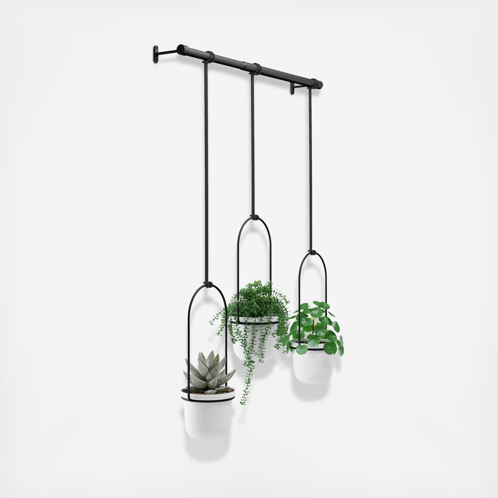 Triflora Hanging Planter 3 Triflora Hanging Planter