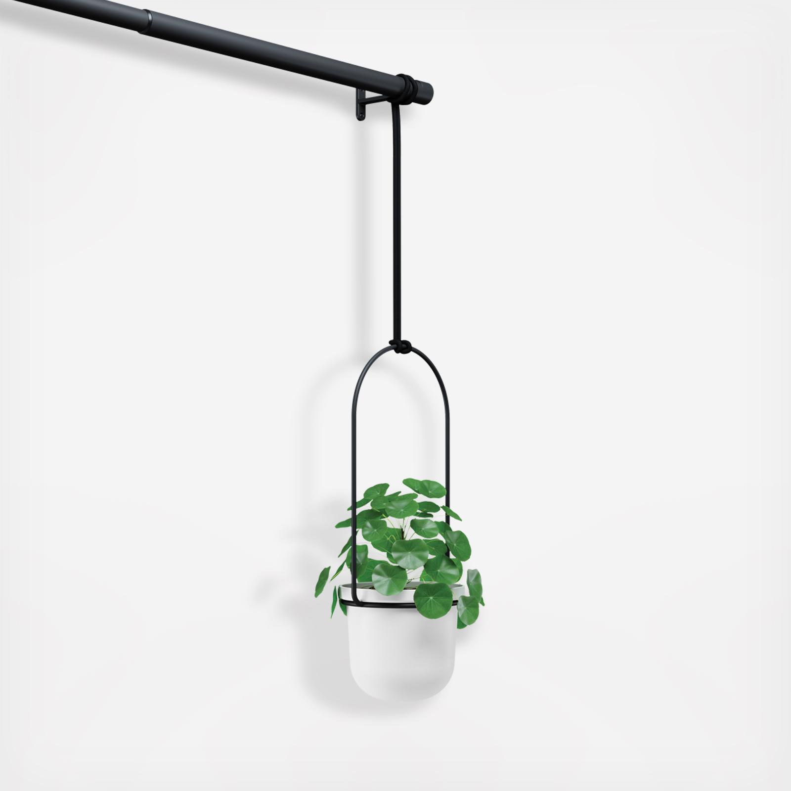 Triflora Hanging Planter 5 Triflora Hanging Planter