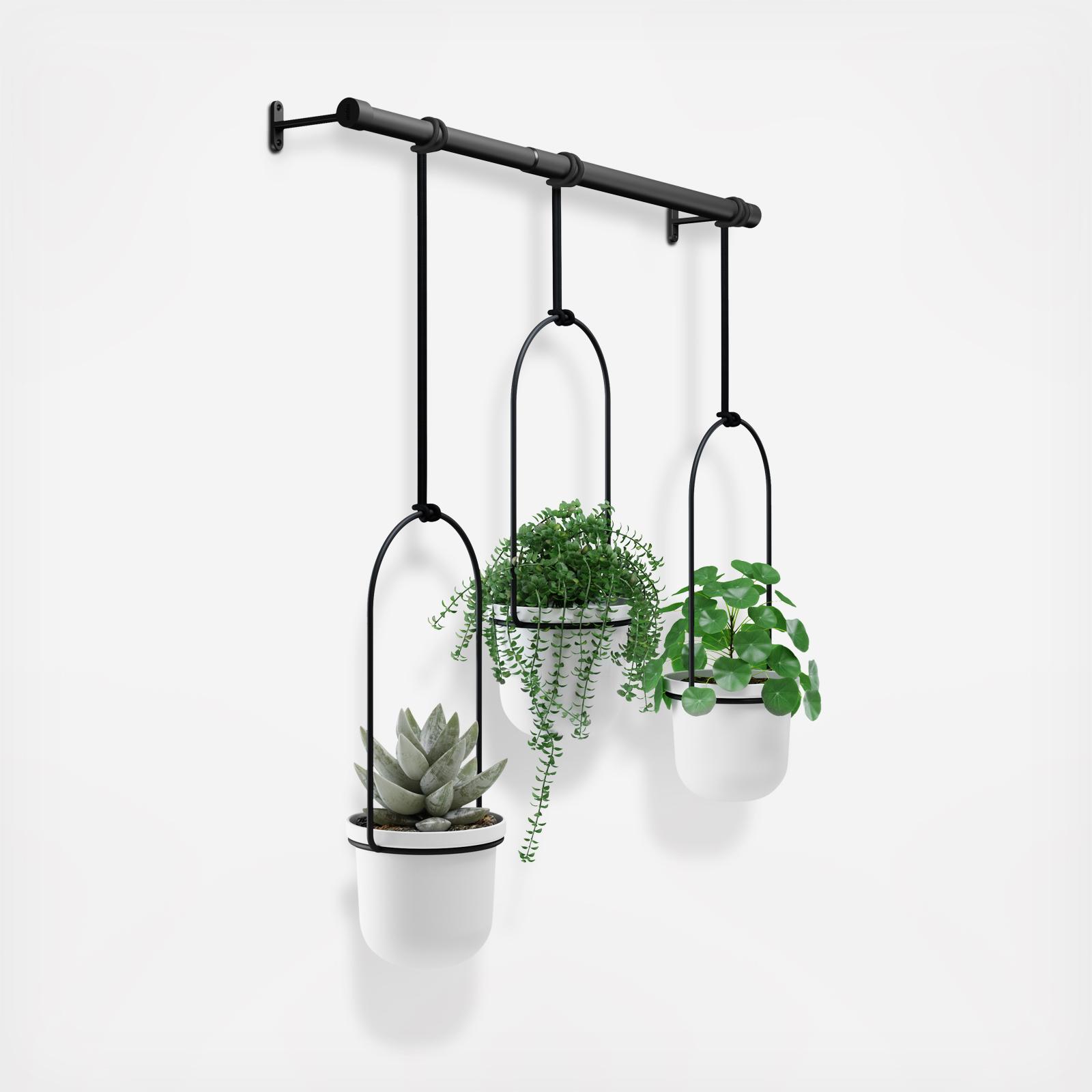 Triflora Hanging Planter 8 Triflora Hanging Planter