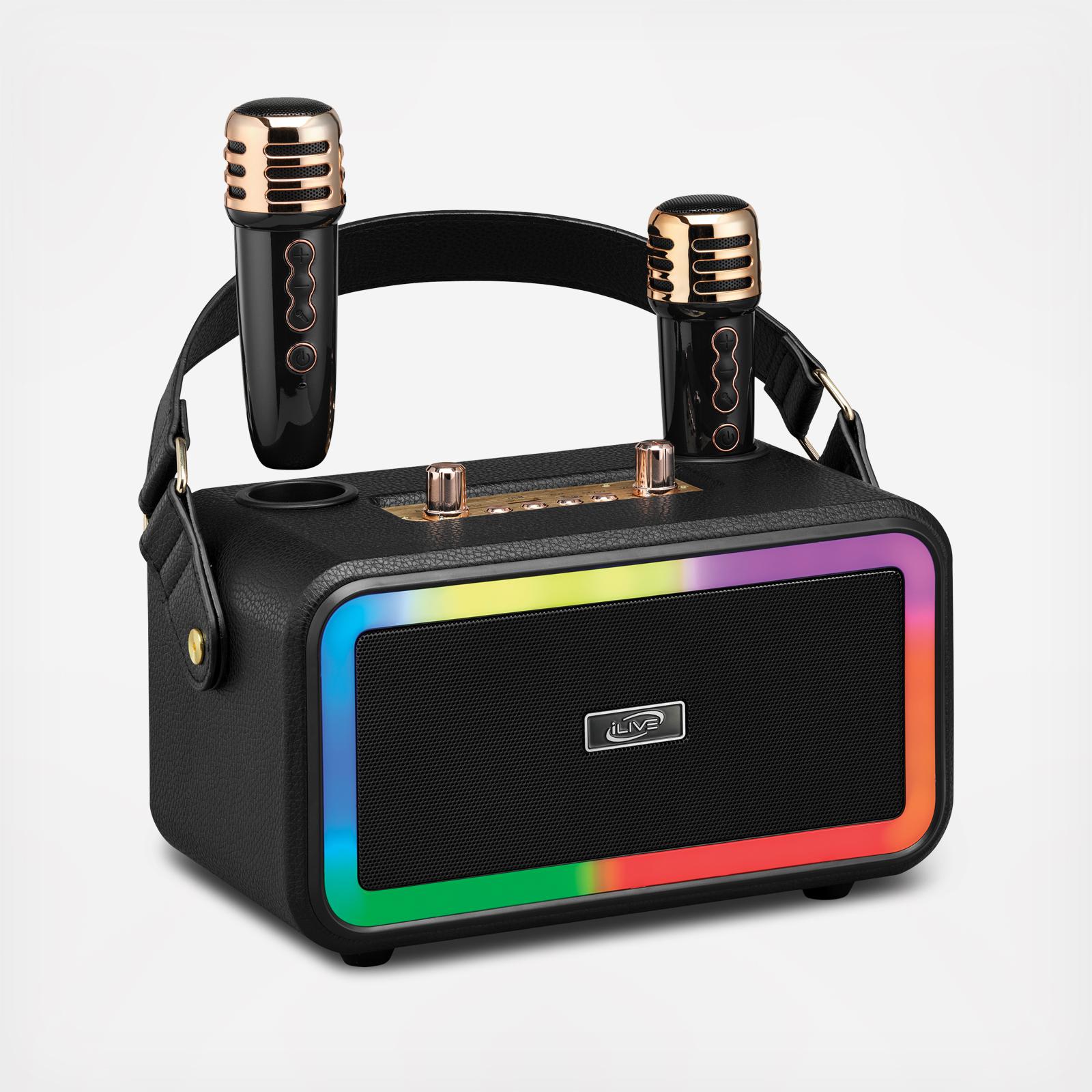 Karaoke Party Speaker with Wireless Microphones