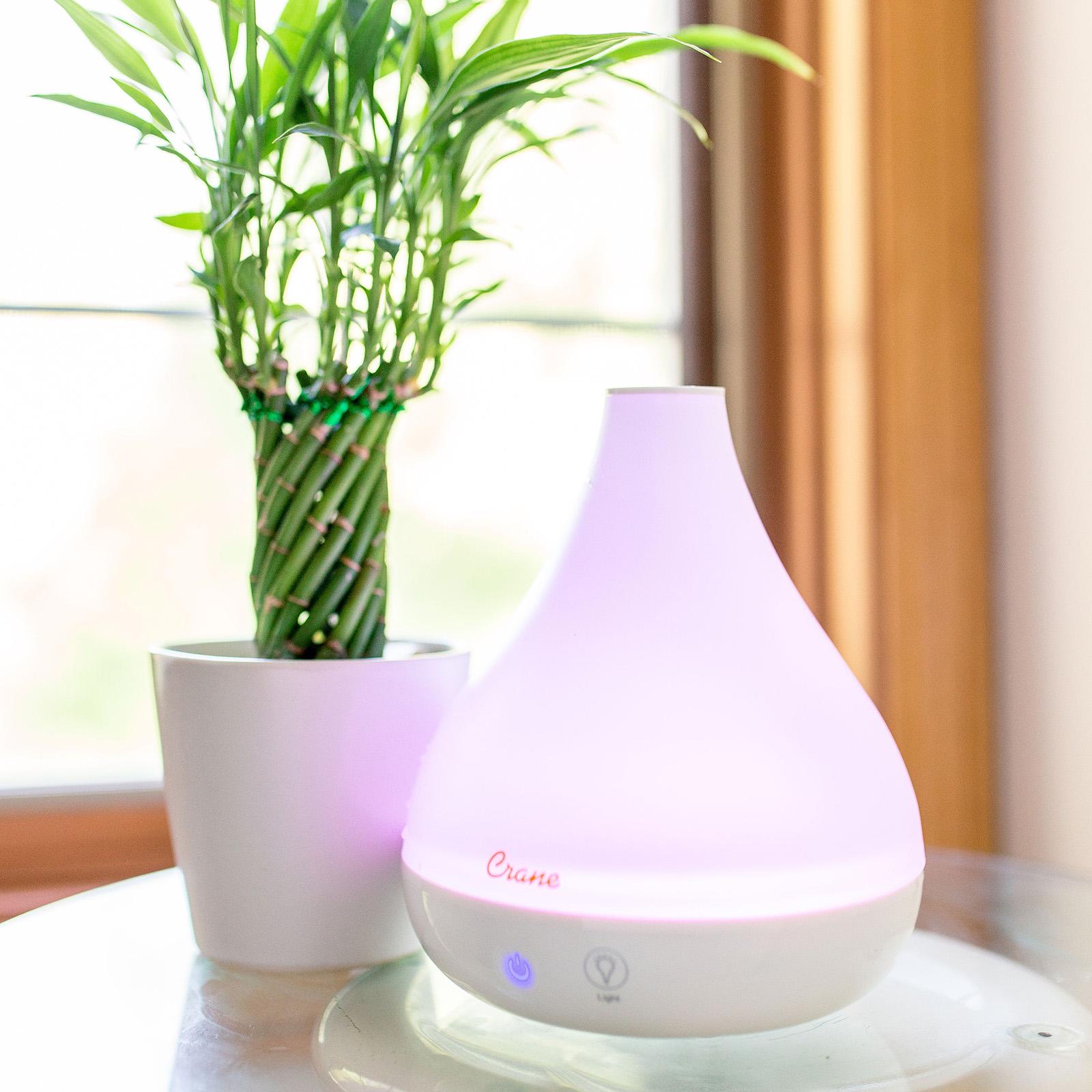 2-in-1 Ultrasonic Cool Mist Humidifer & Aroma Diffuser