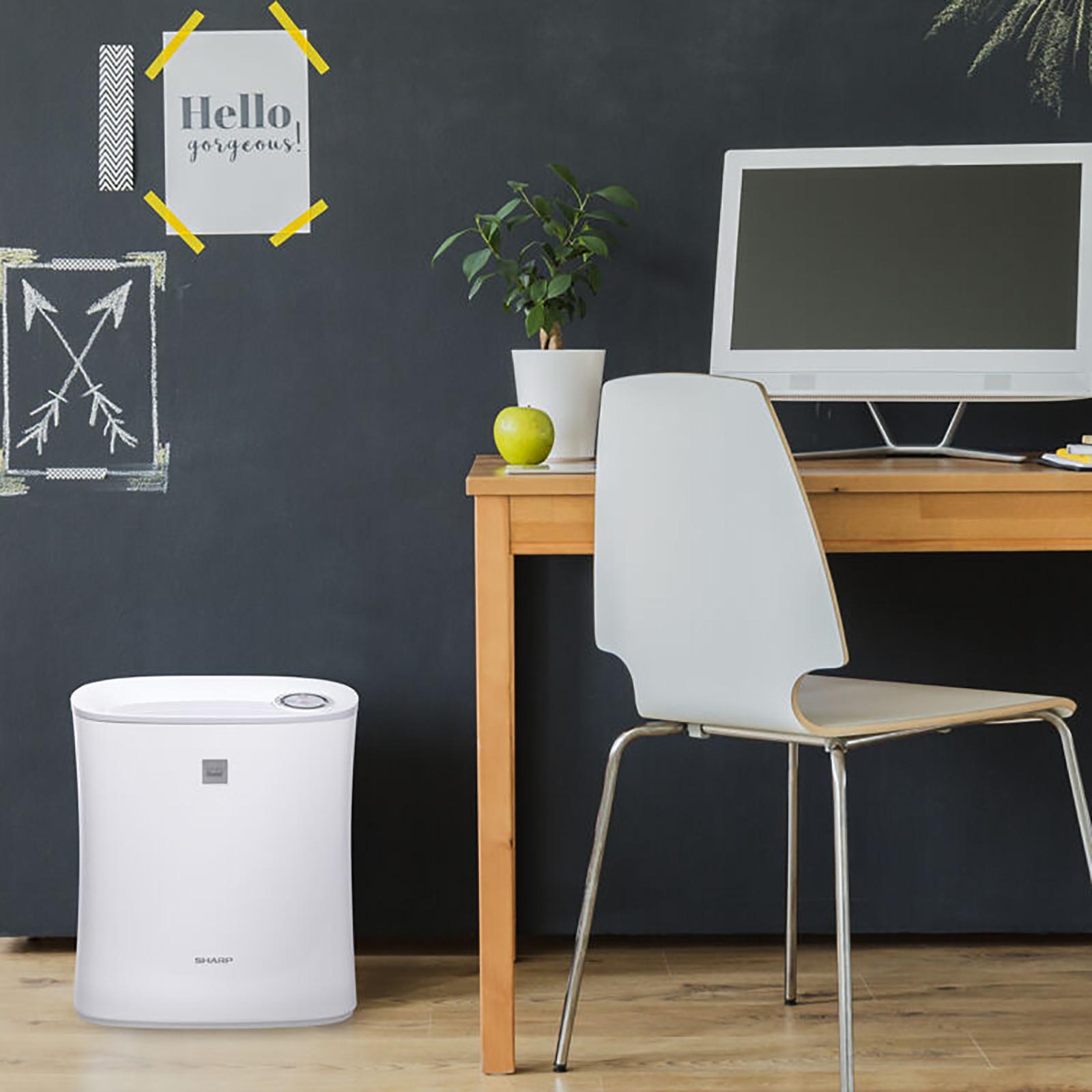 True HEPA Air Purifier 1 True HEPA Air Purifier