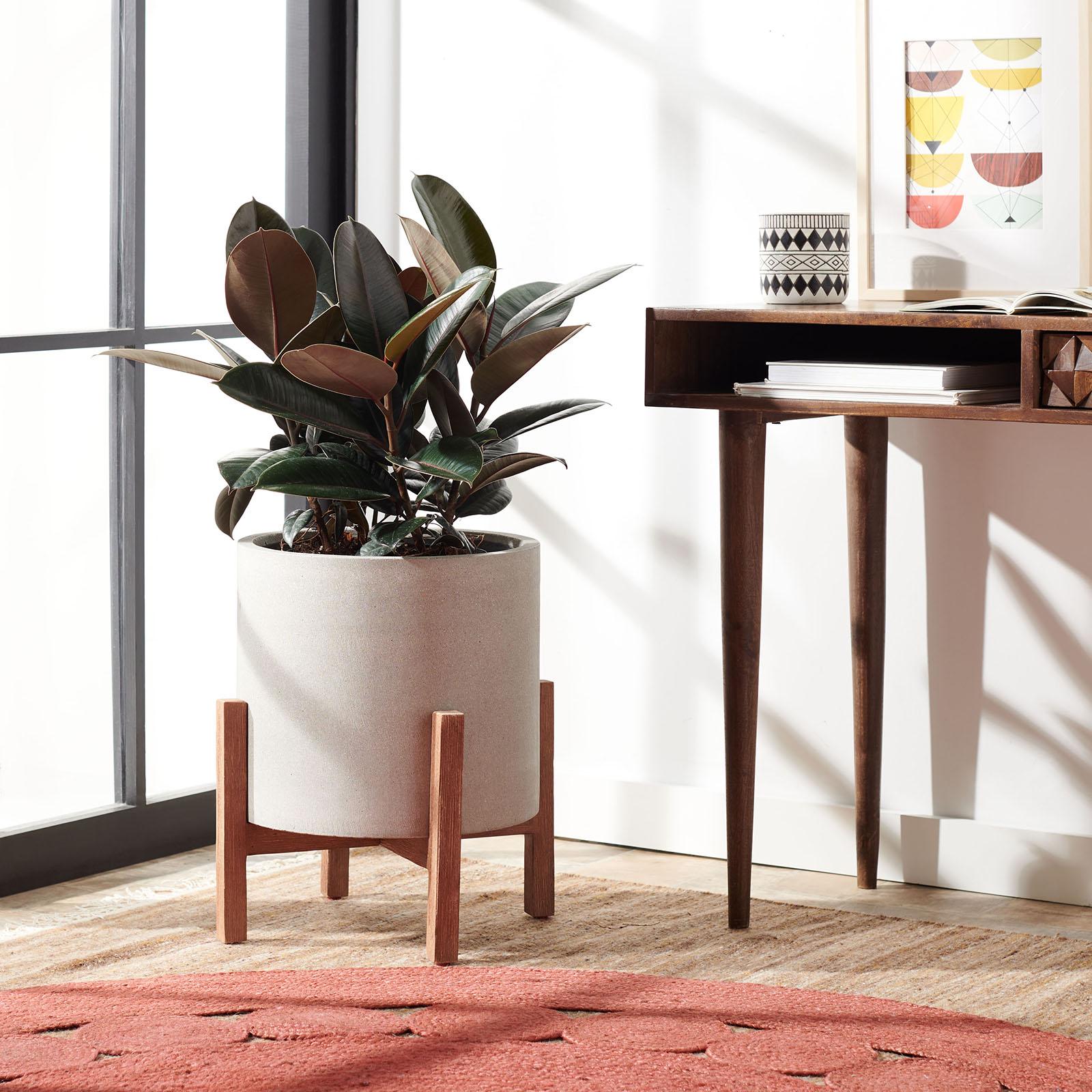Jesper Planter 13 Jesper Planter