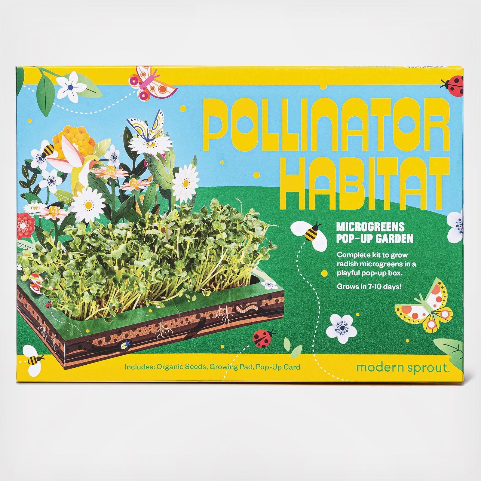 Microgreens Pollinator Habitat Pop Up Garden 2 Microgreens Pollinator Habitat Pop Up Garden