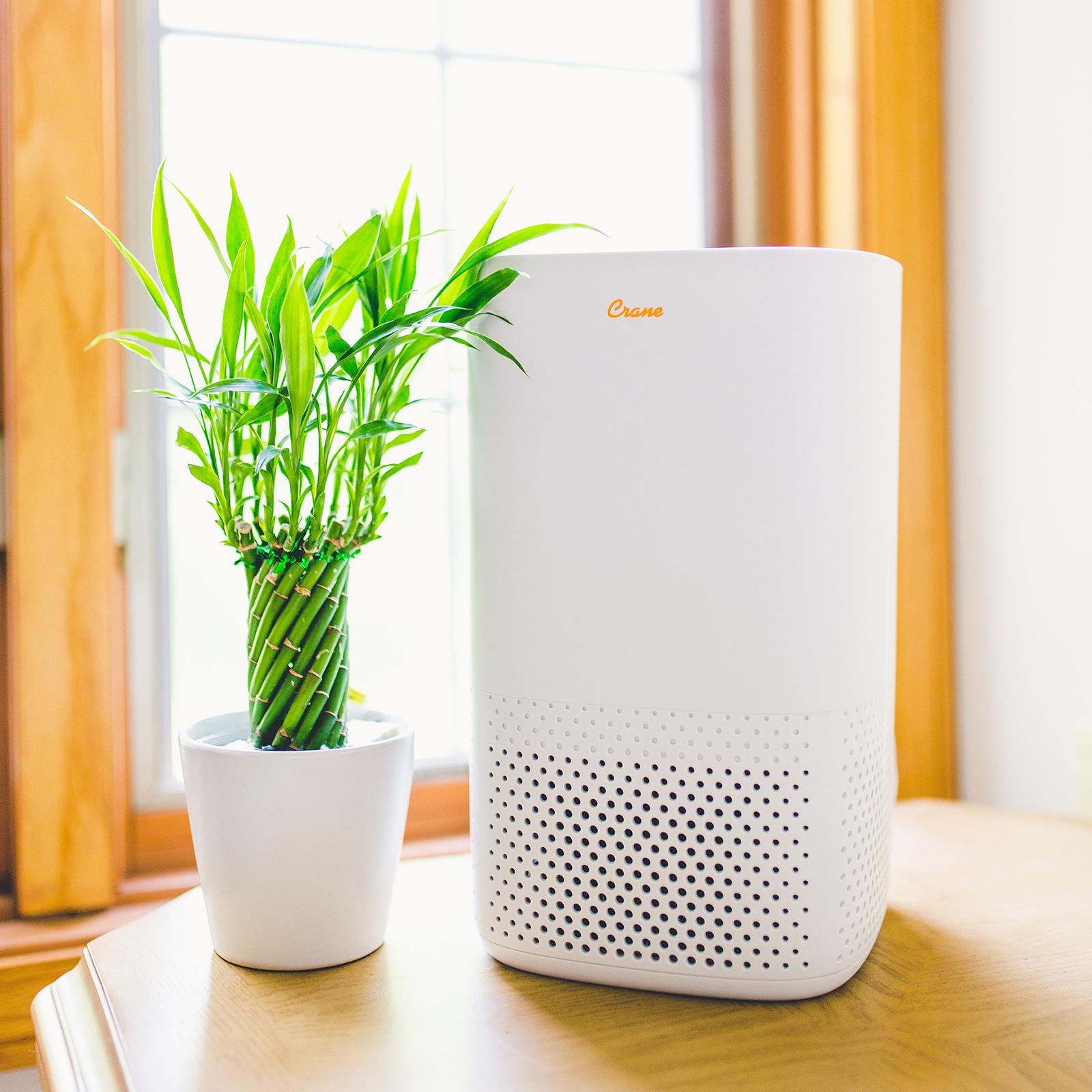 True HEPA Air Purifier with Germicidal UV Light 2 True HEPA Air Purifier with Germicidal UV Light