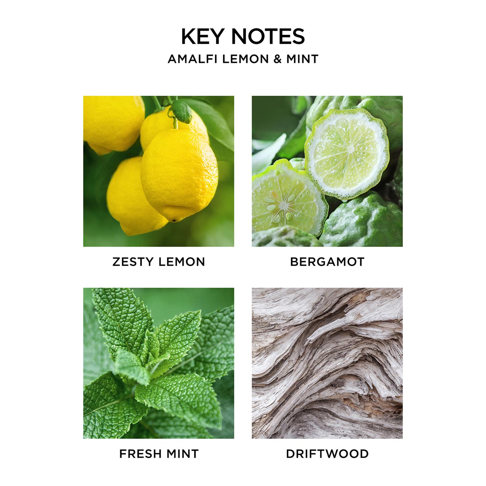 Amalfi Lemon & Mint Pura Diffuser Refill, Set of 2 6 Amalfi Lemon & Mint Pura Diffuser Refill, Set of 2