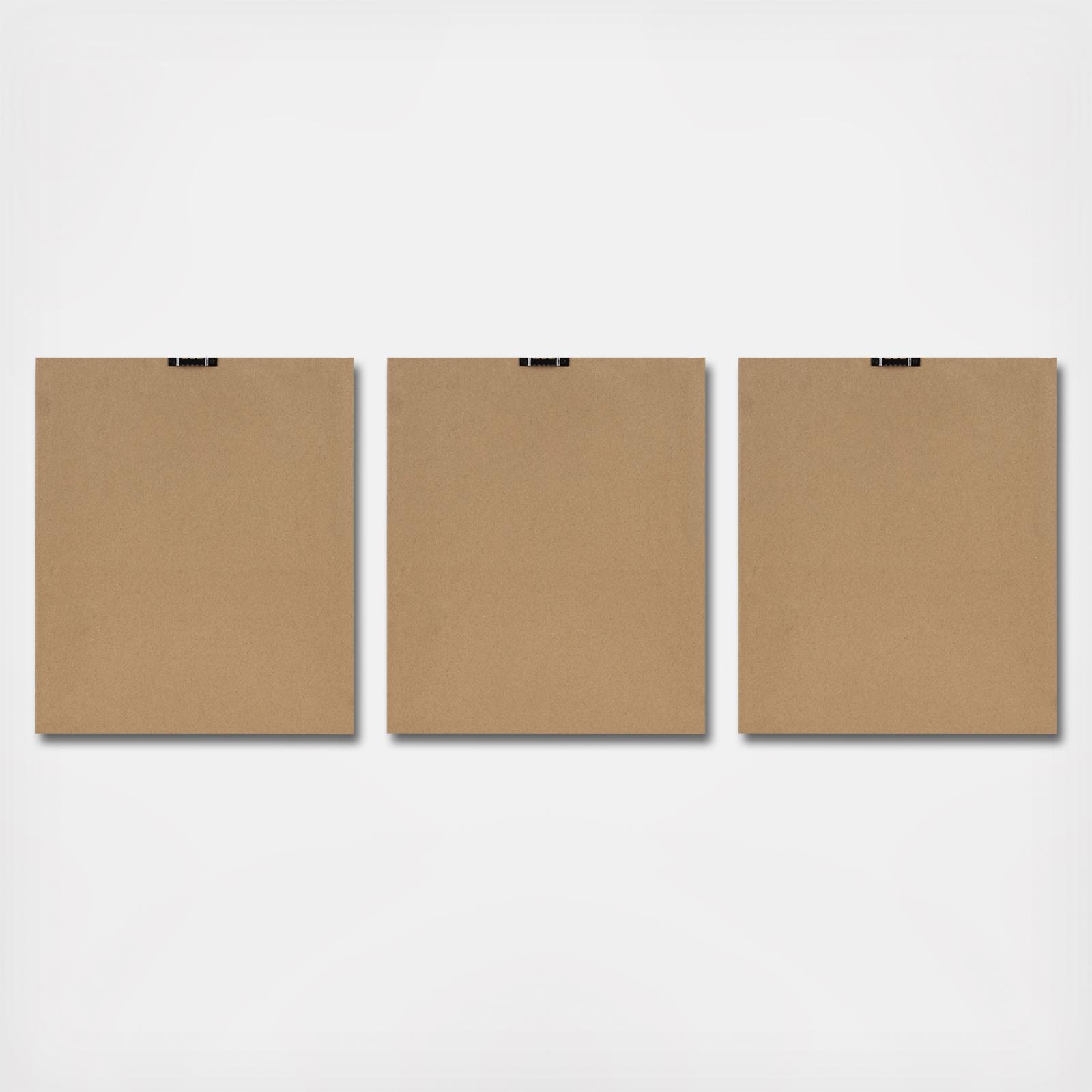 Fair Florets 3-Piece Framed Wall Art Set 7 Fair Florets 3-Piece Framed Wall Art Set