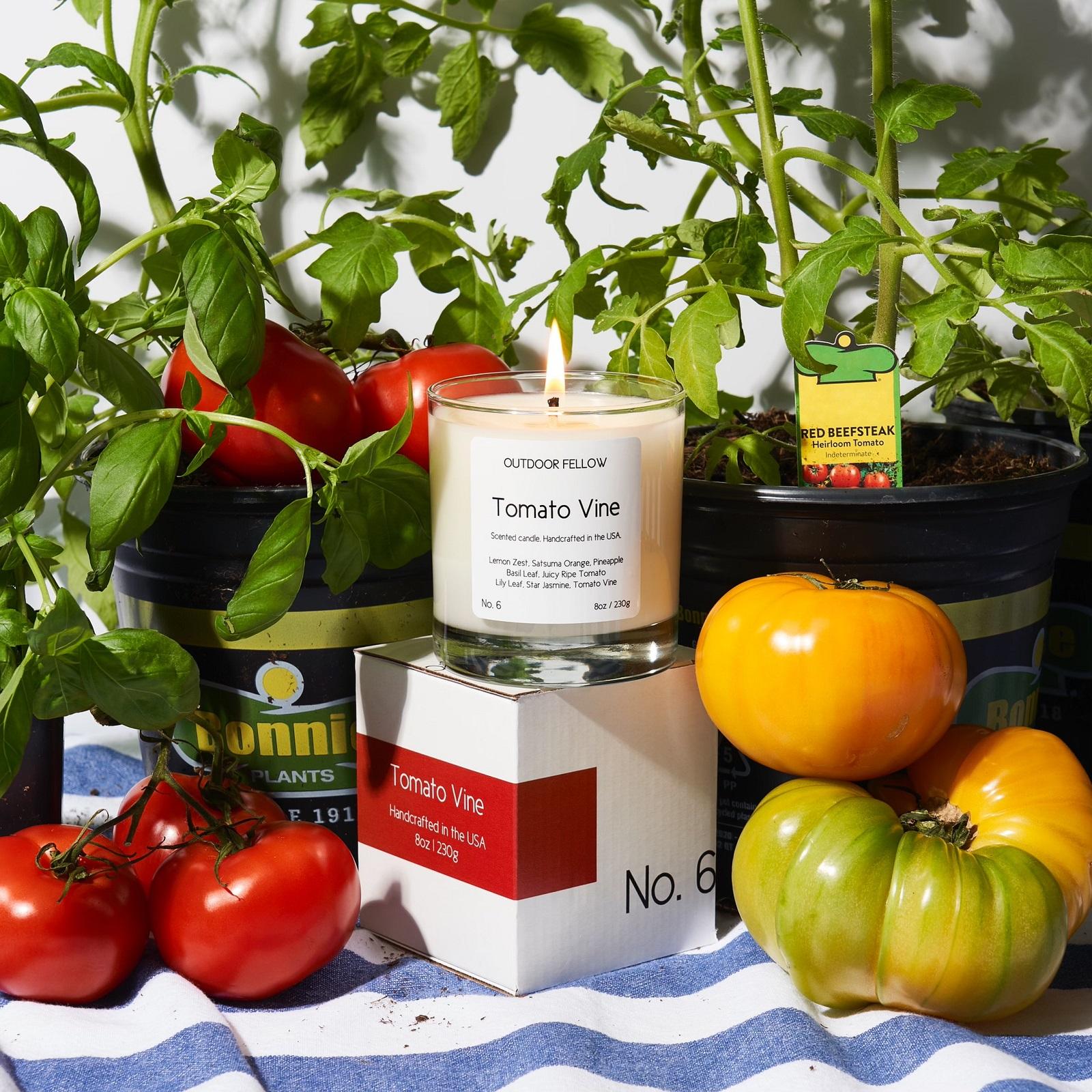 Tomato Vine Candle 17 Tomato Vine Candle