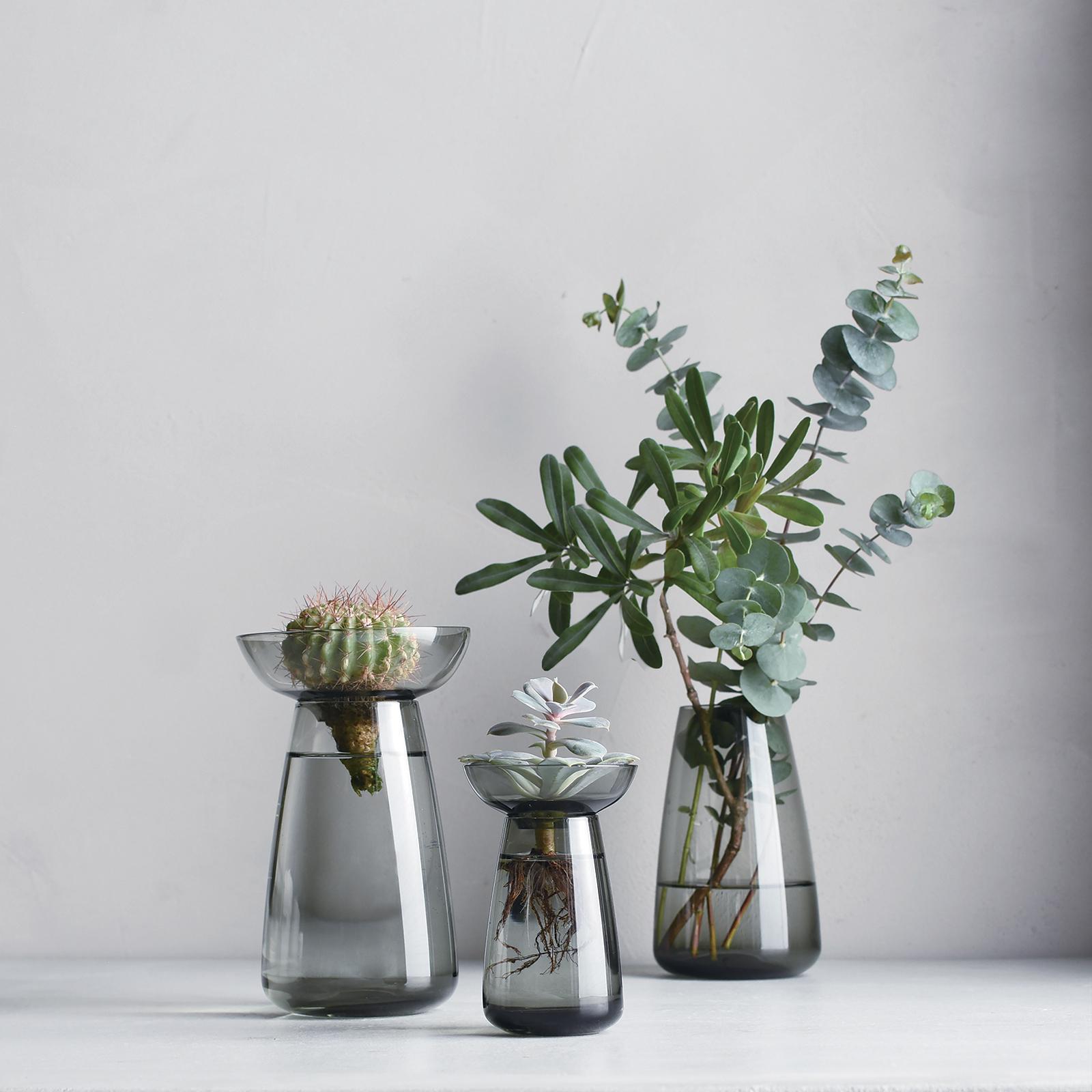 Aqua Culture Vase 5 Aqua Culture Vase