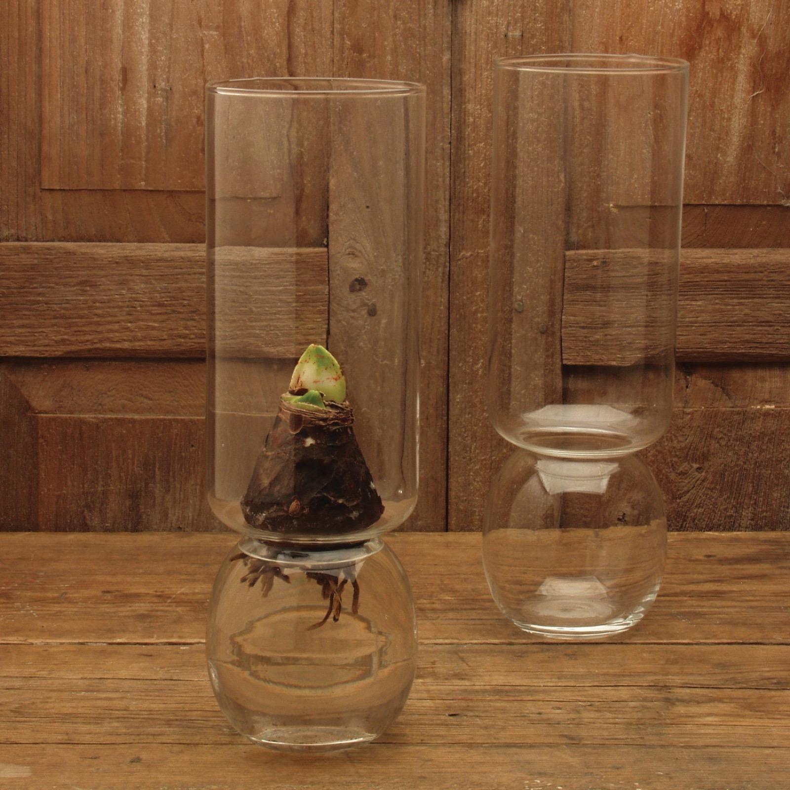 Bulb Vase Extra Tall 1 Bulb Vase Extra Tall