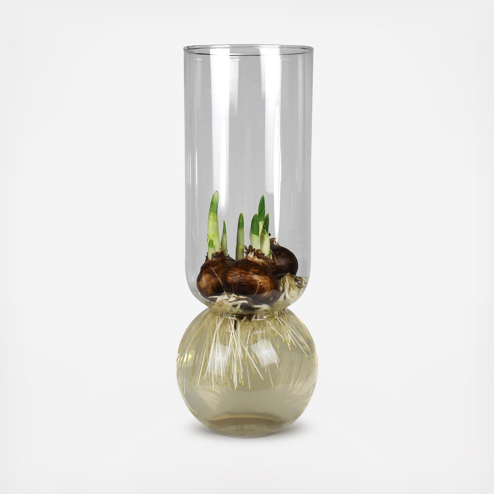 Bulb Vase Extra Tall 2 Bulb Vase Extra Tall