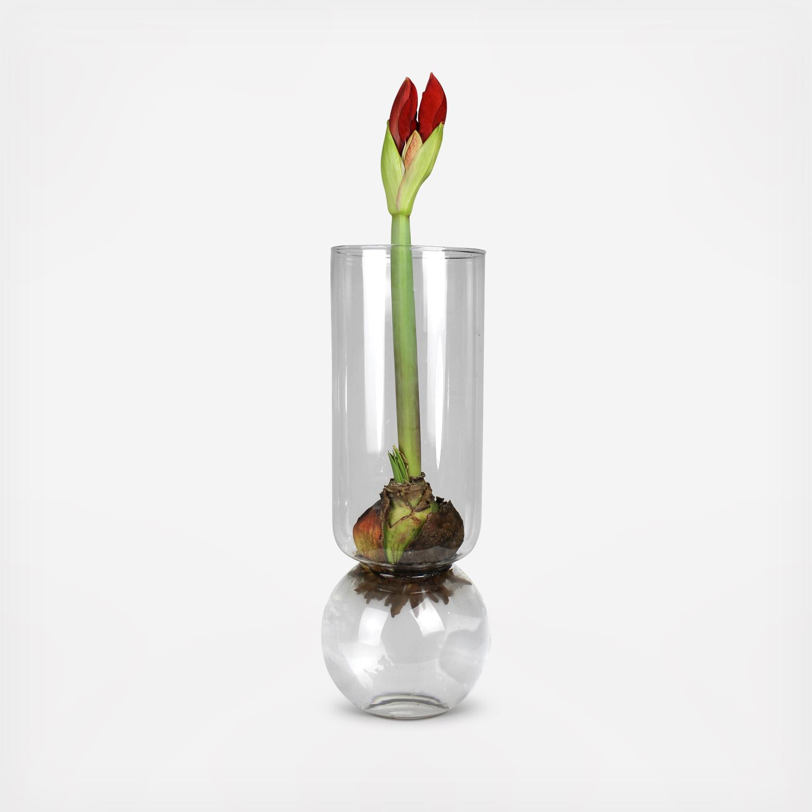 Bulb Vase Extra Tall 3 Bulb Vase Extra Tall