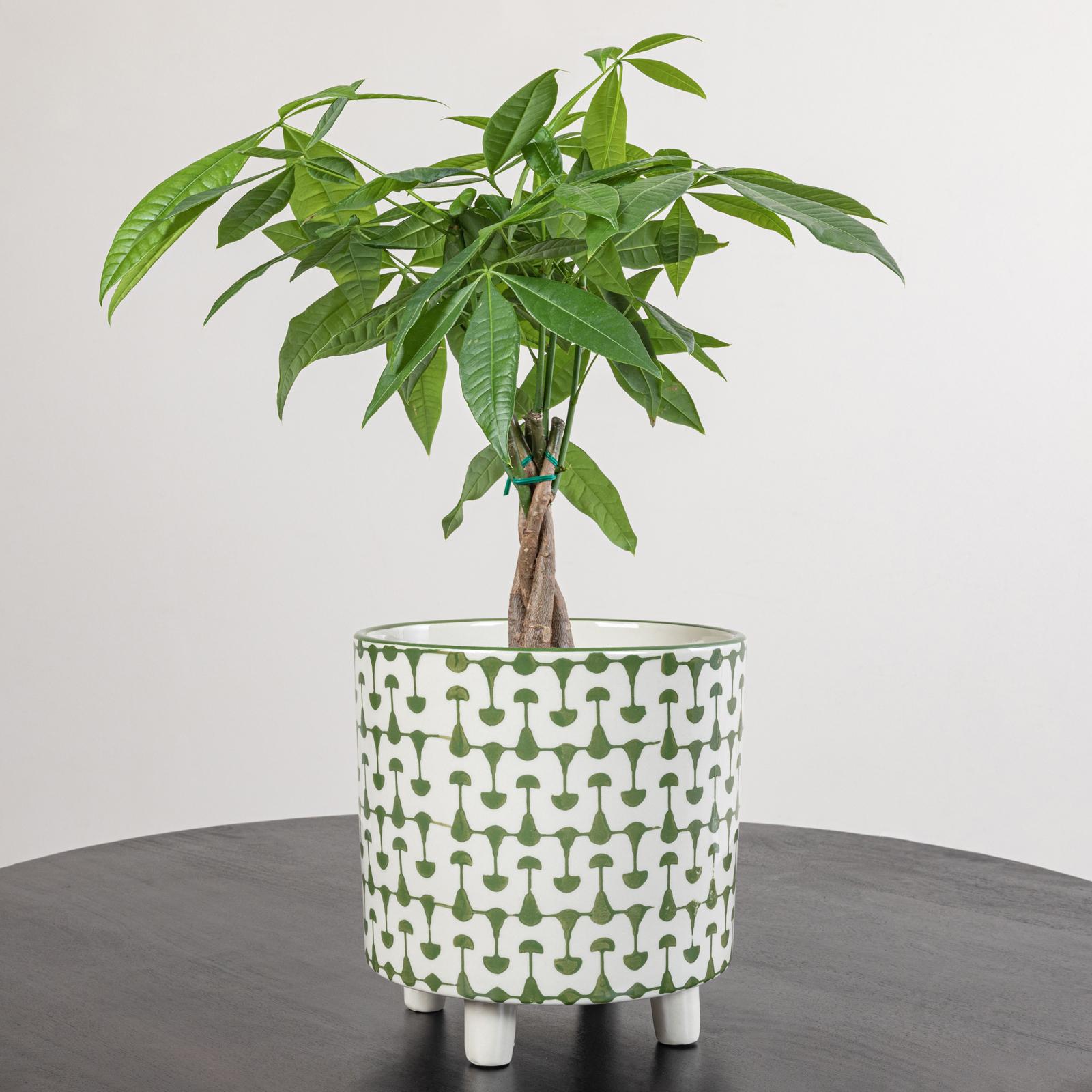 Footed Stoneware Planter