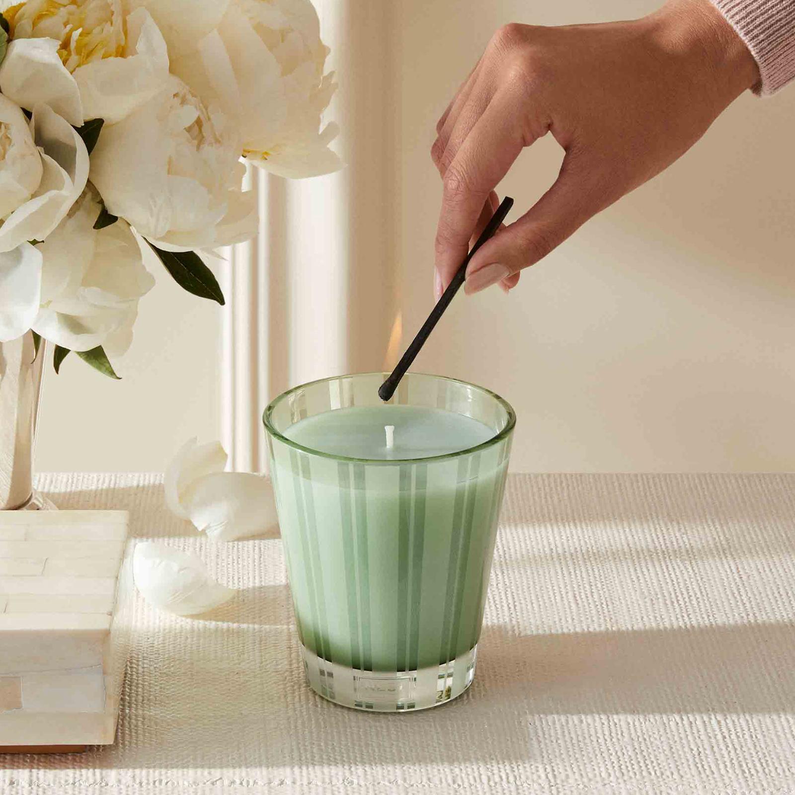 Wellness Wild Mint & Eucalyptus Classic Candle 5 Wellness Wild Mint & Eucalyptus Classic Candle