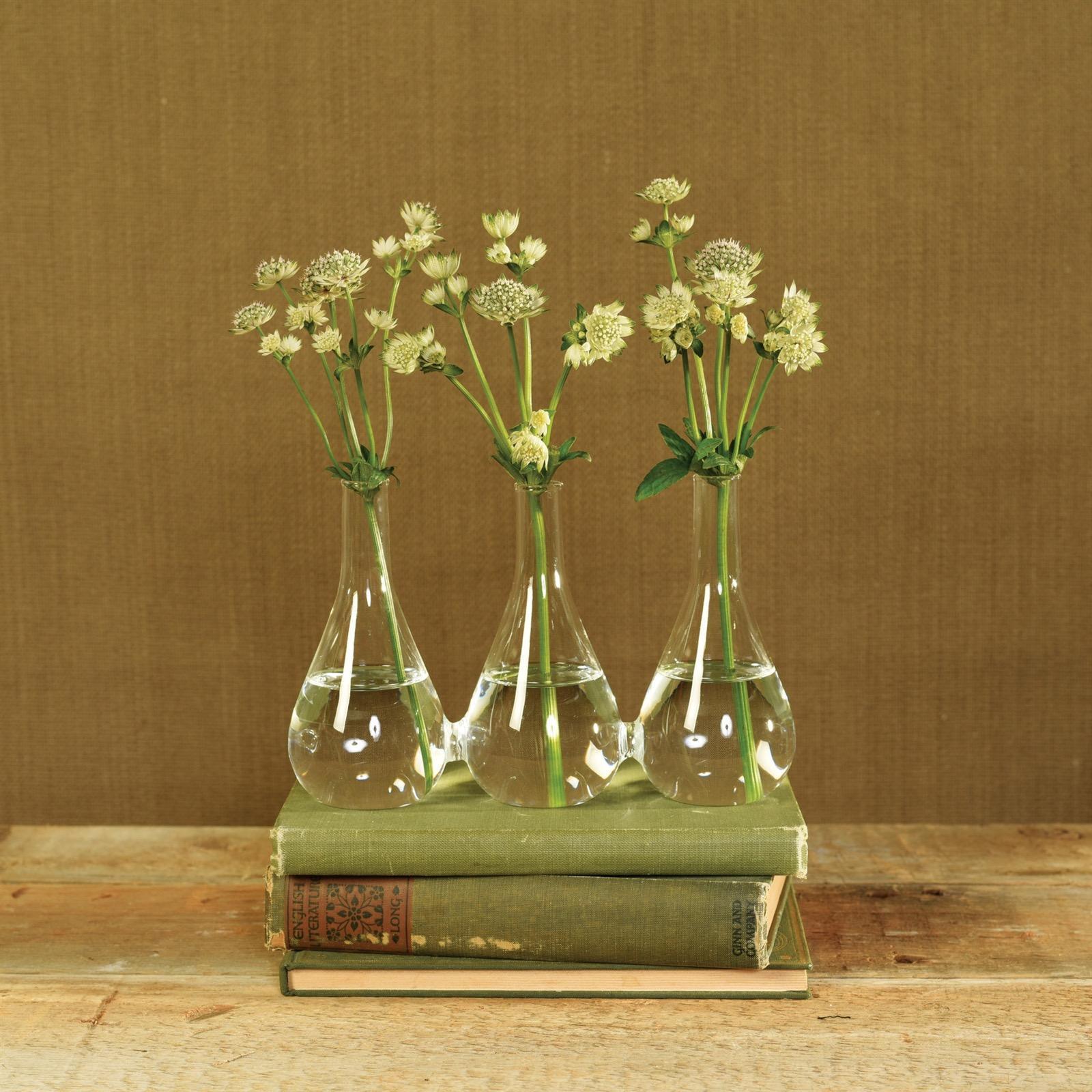 Trio Glass Vase 4 Trio Glass Vase