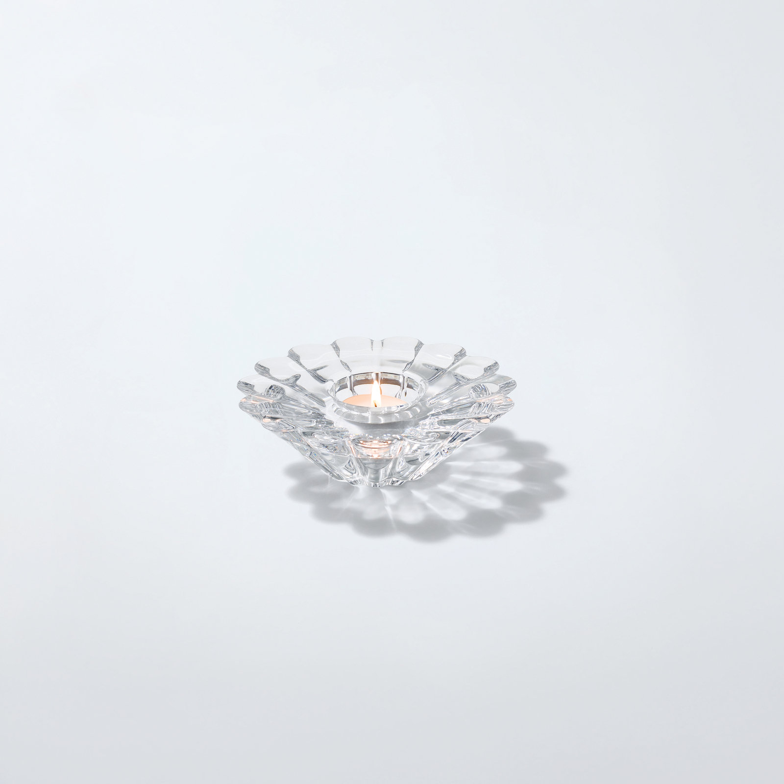 Aster Votive 3 Aster Votive