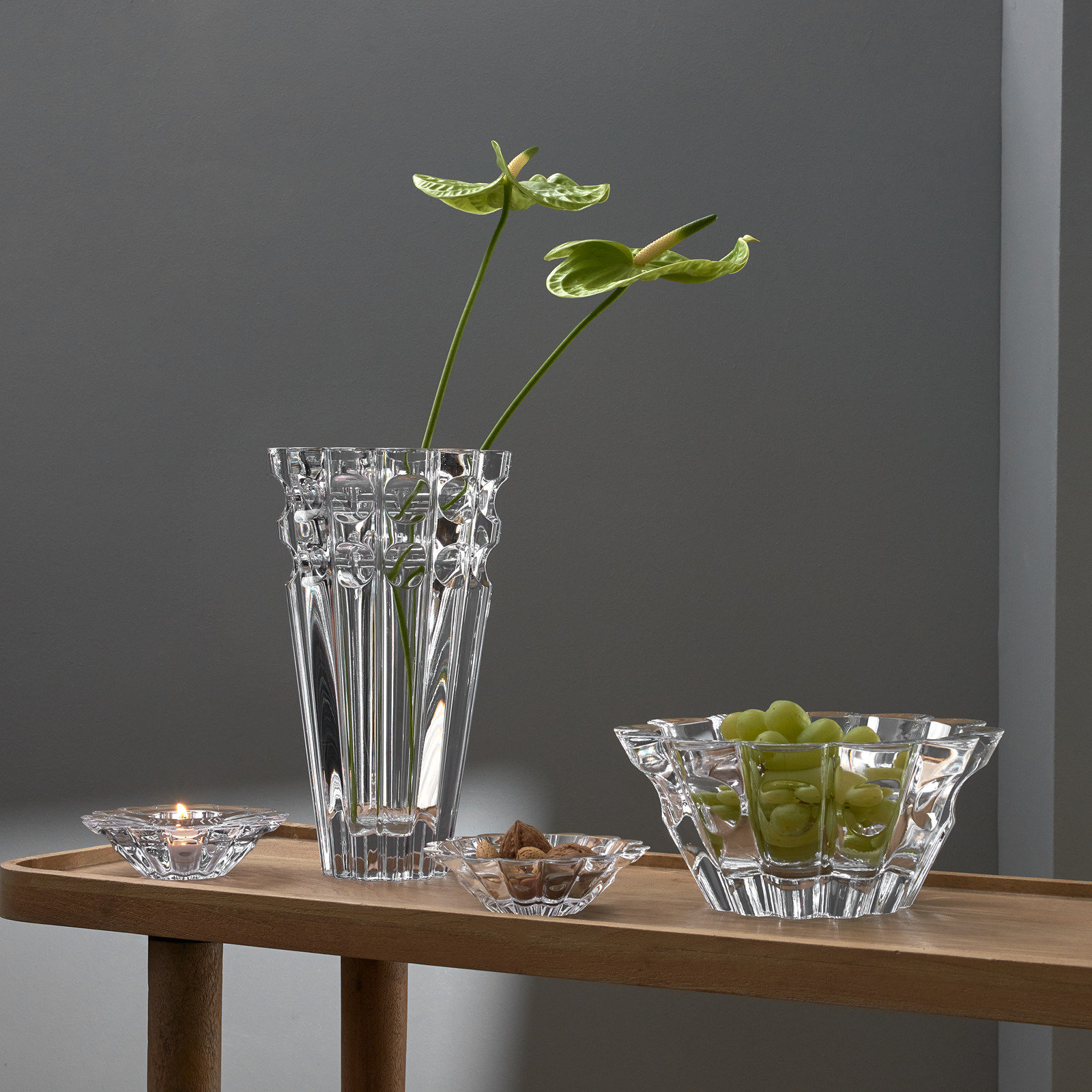 Aster Votive 4 Aster Votive