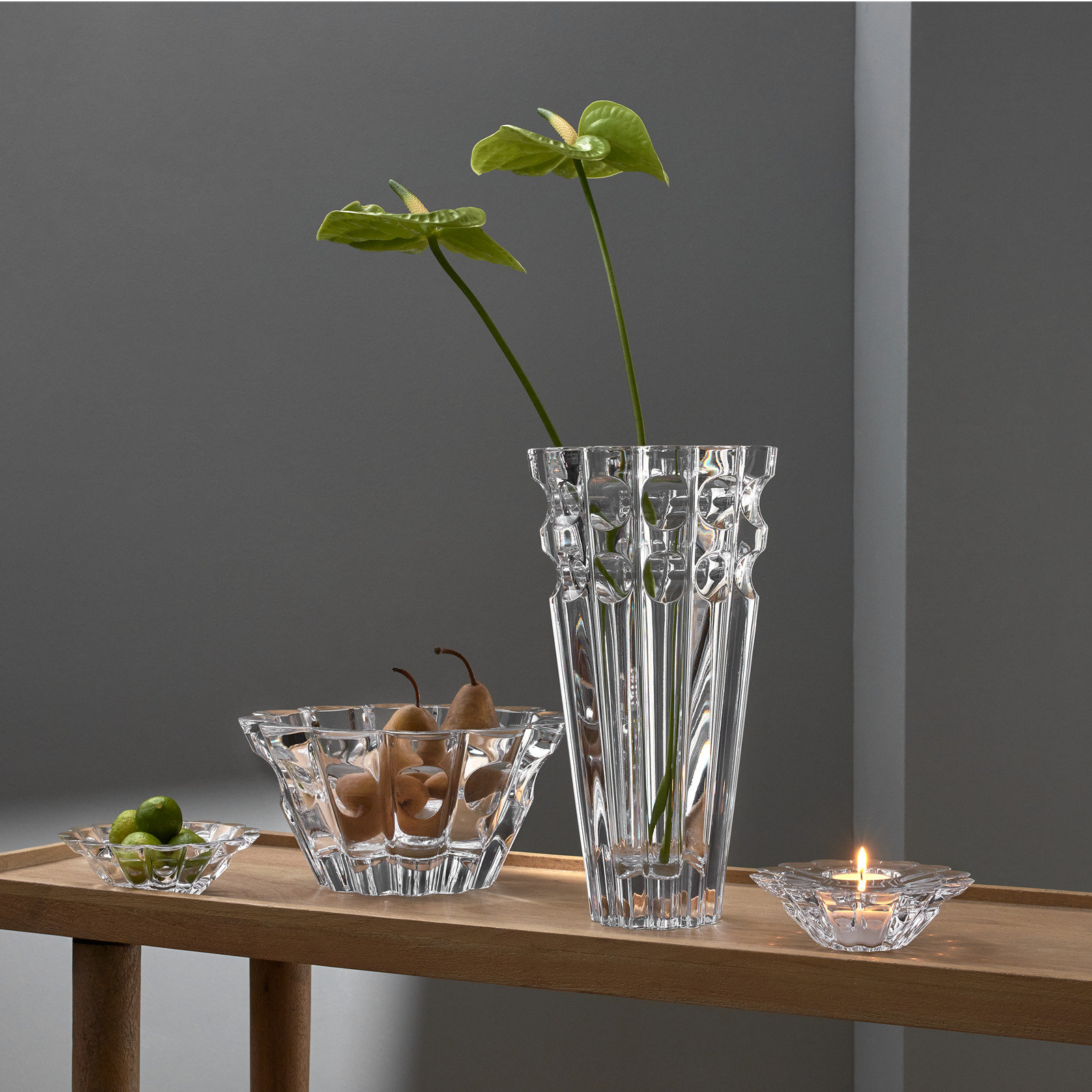 Aster Votive 5 Aster Votive