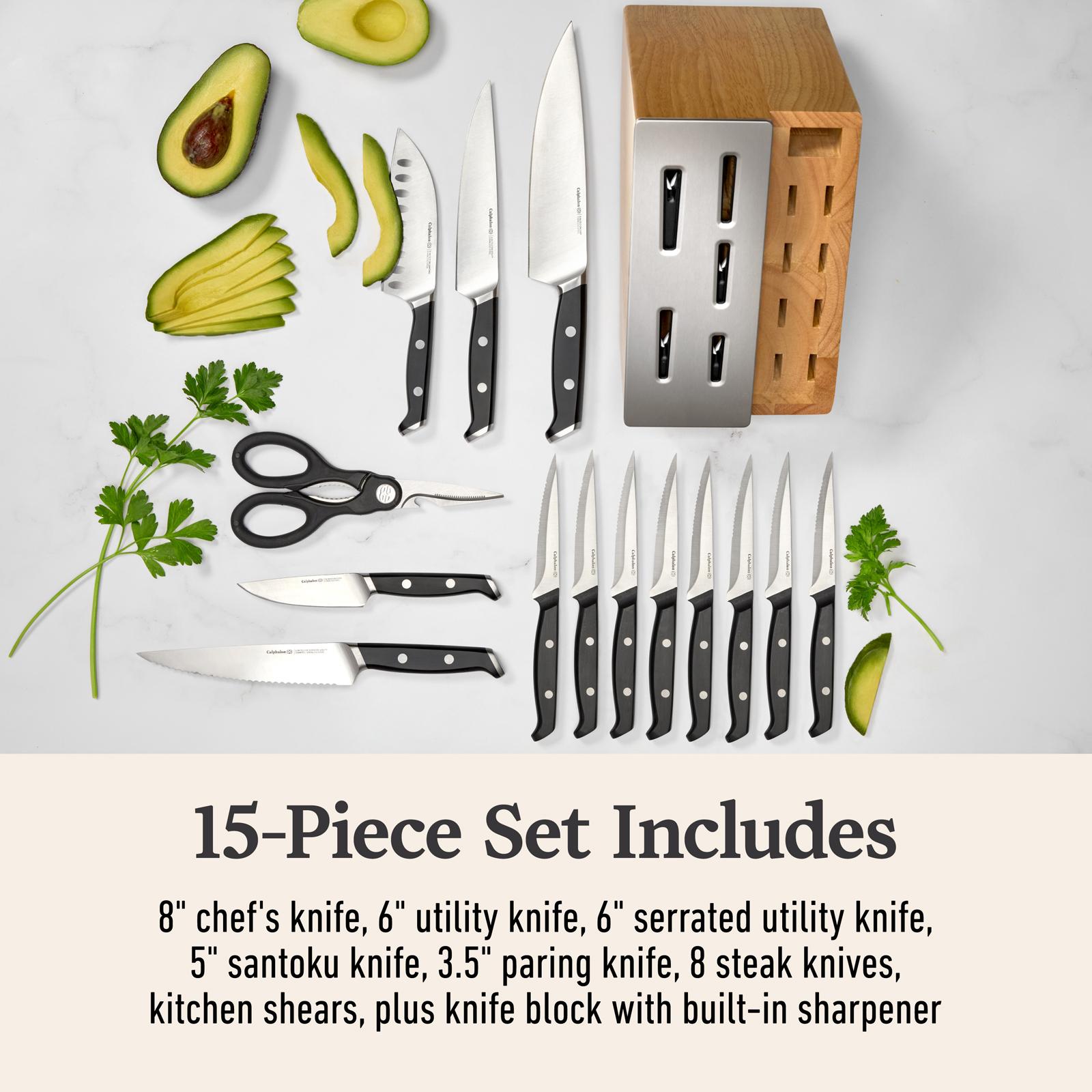 Premier 15-Piece Knife Set with SharpIN Edgetech 6 Premier 15-Piece Knife Set with SharpIN Edgetech