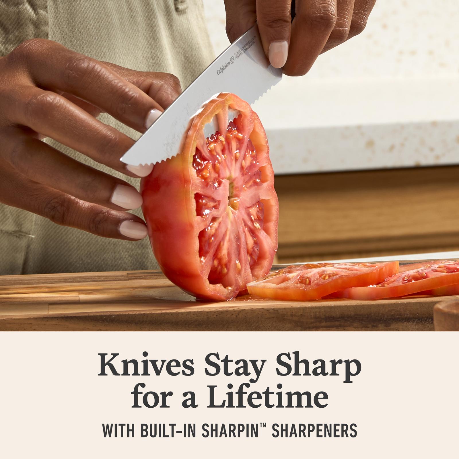 Premier 15-Piece Knife Set with SharpIN Edgetech 7 Premier 15-Piece Knife Set with SharpIN Edgetech