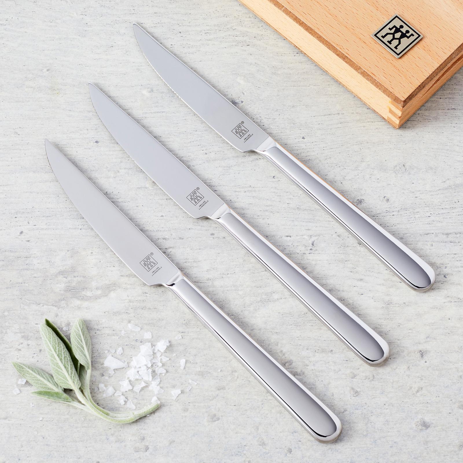 Contemporary Stainless Steak Knife with Presentation Box, Set of 8 7 Contemporary Stainless Steak Knife with Presentation Box, Set of 8