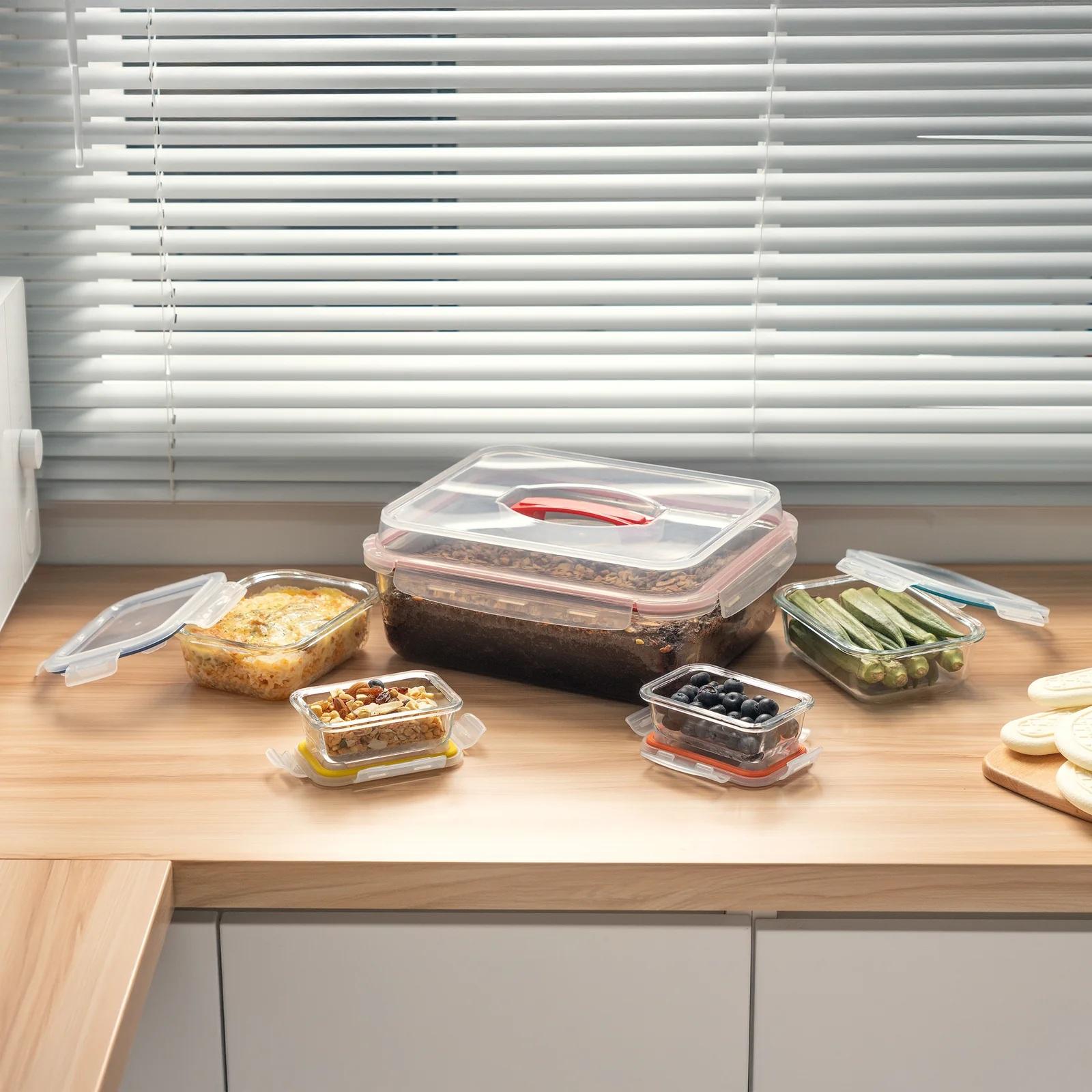 10-Piece Bake & Carry Glass Set with Lid
