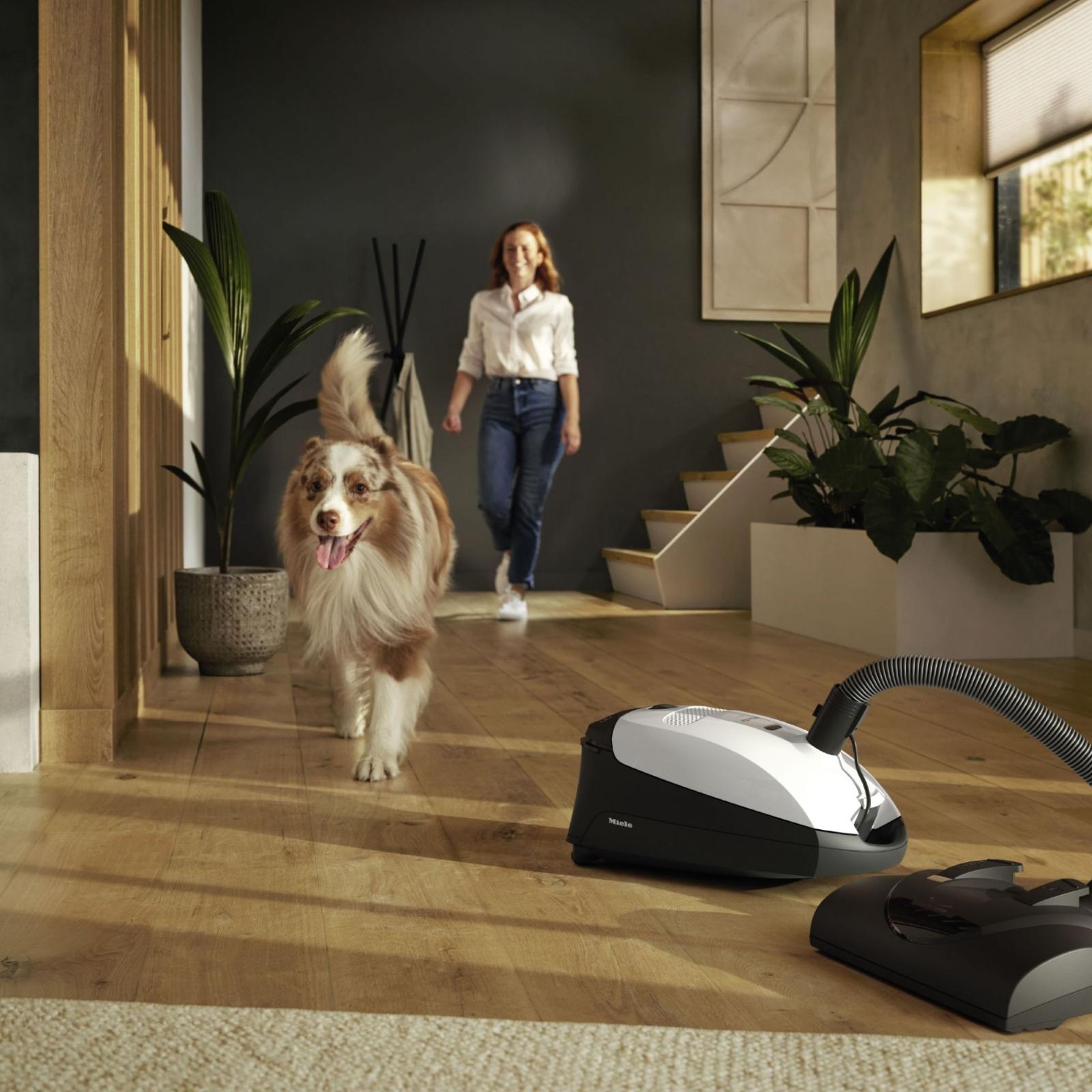 Classic C1 Cat & Dog Bagged Canister Vacuum 3 Classic C1 Cat & Dog Bagged Canister Vacuum