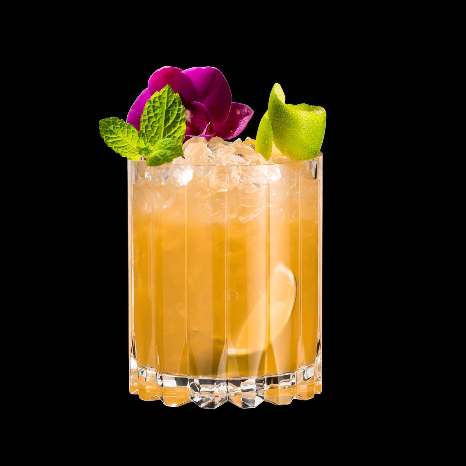 Drink Specific Double Rocks Glass, Set of 2