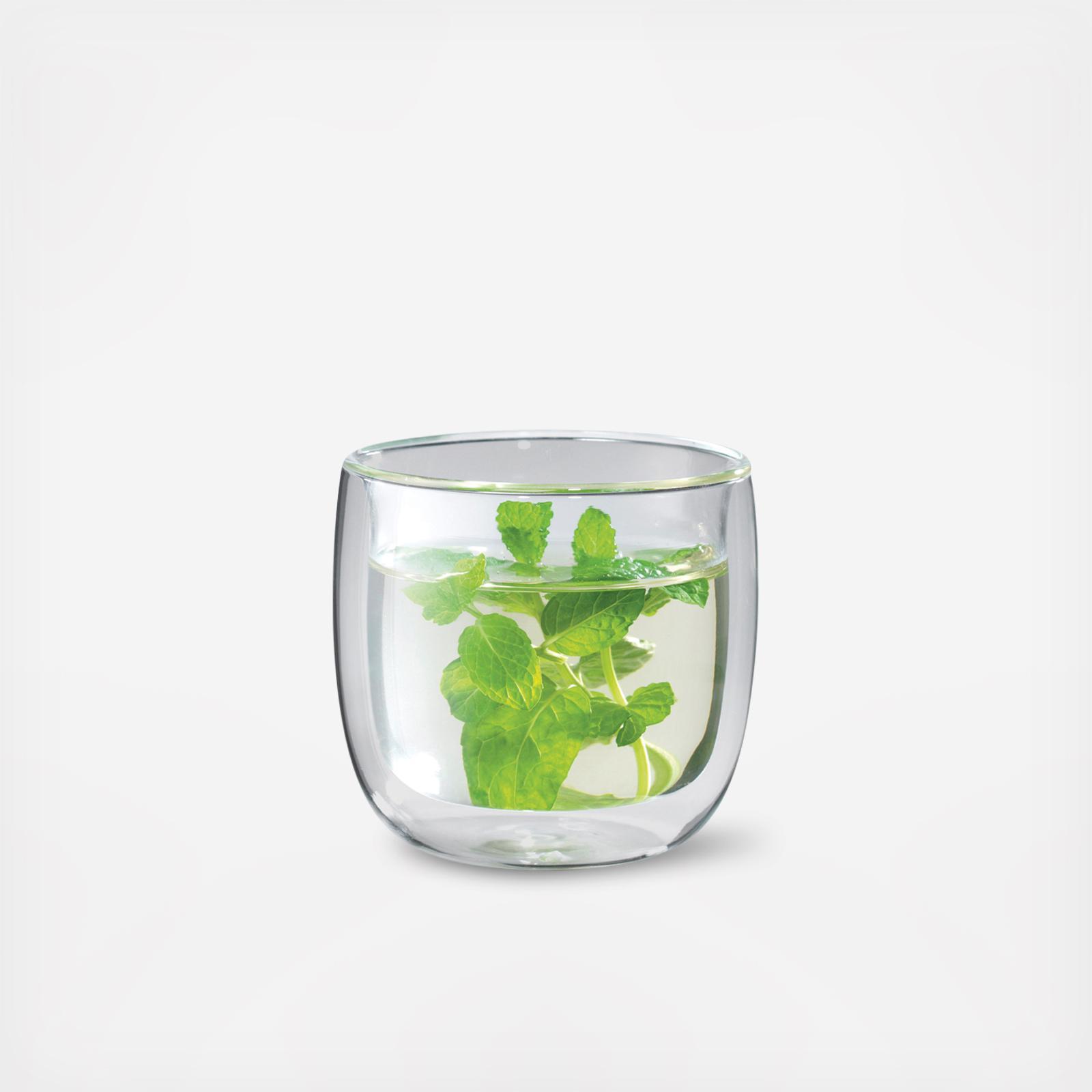 Sorrento Double Wall Glass Tea Cup, Set of 2 12 Sorrento Double Wall Glass Tea Cup, Set of 2