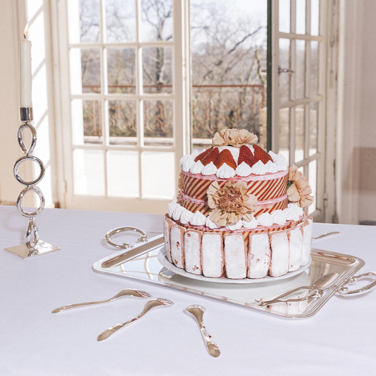 Vertigo Silver-Plated Small Hosting Tray 5 Vertigo Silver-Plated Small Hosting Tray